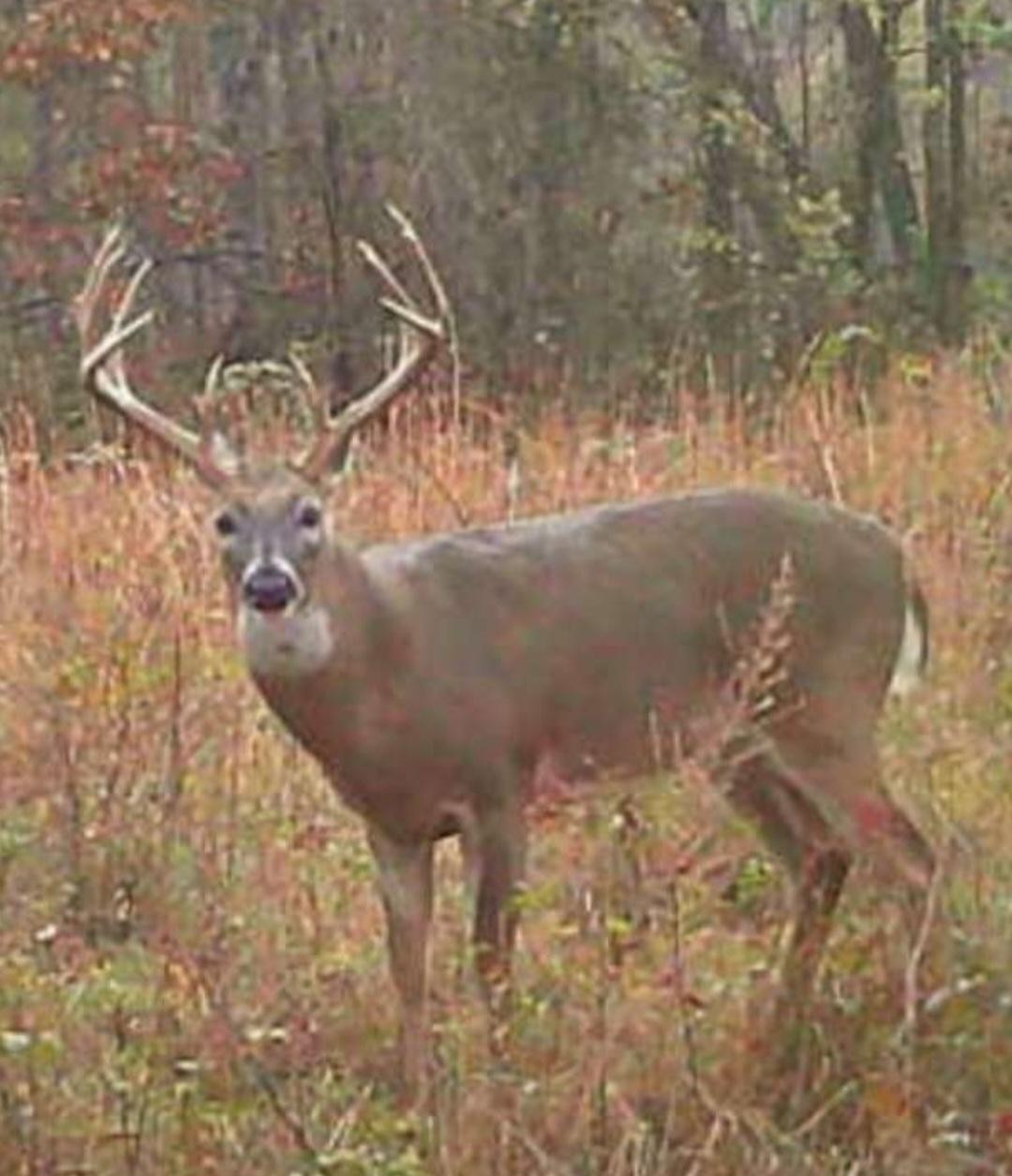 0 Old Paris Murray Rd Property Photo 35