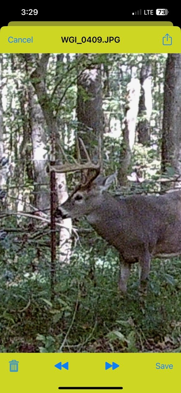 0 Old Paris Murray Rd Property Photo 37