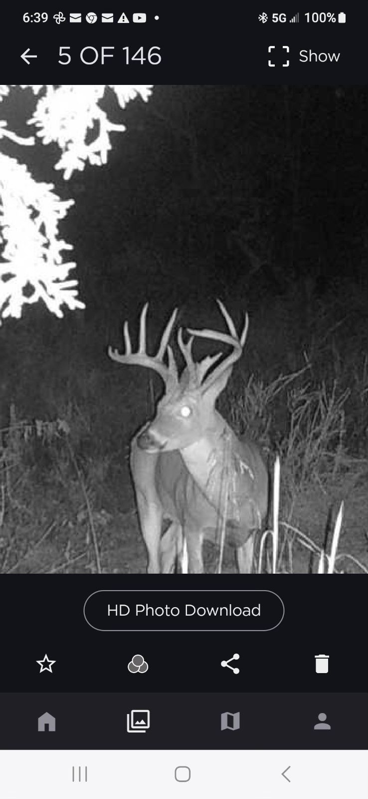 0 Old Paris Murray Rd Property Photo 39