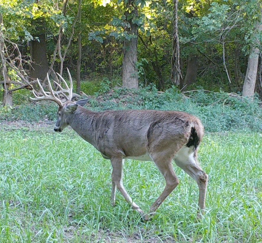 0 Old Paris Murray Rd Property Photo 40