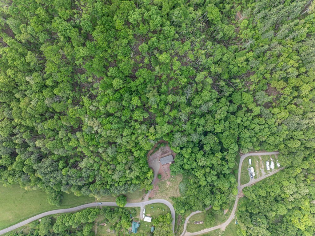 1000 Mining Town Rd Property Photo 5