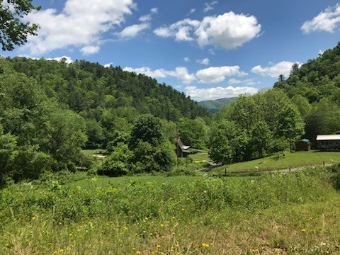 1000 Mining Town Rd Property Photo 27