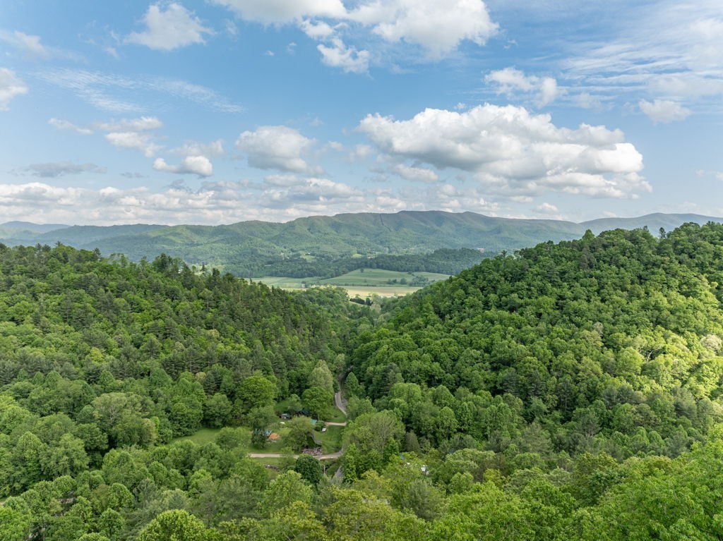 1000 Mining Town Rd Property Photo 30