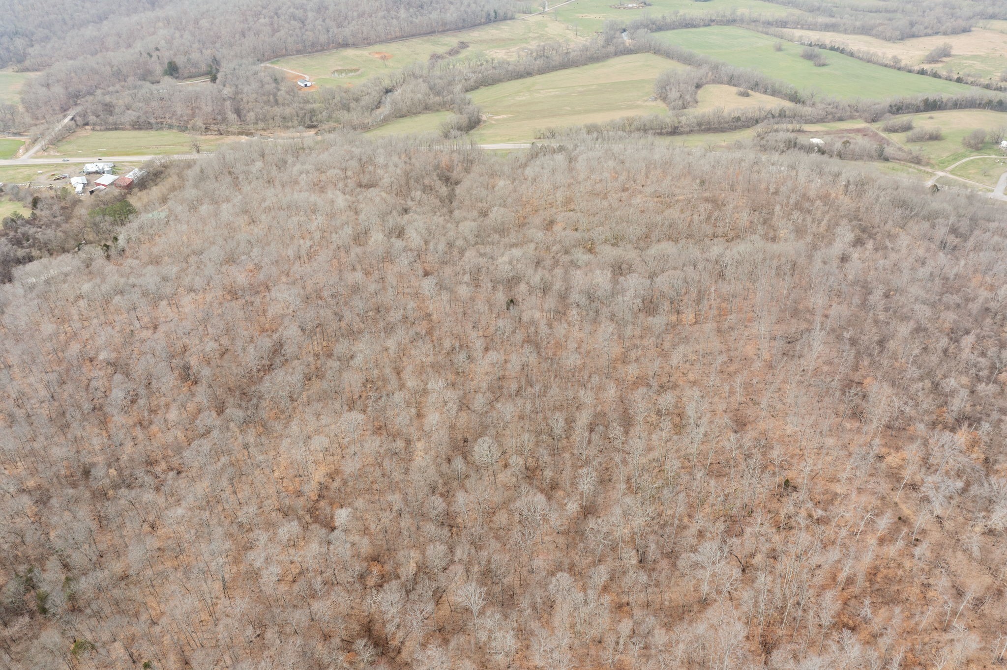 0 Highway 149 Property Photo 5