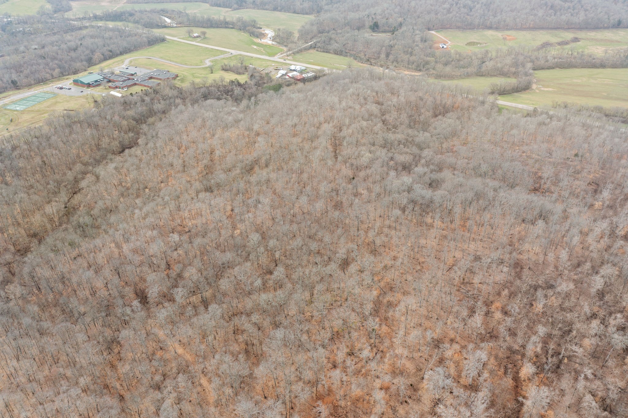 0 Highway 149 Property Photo 6