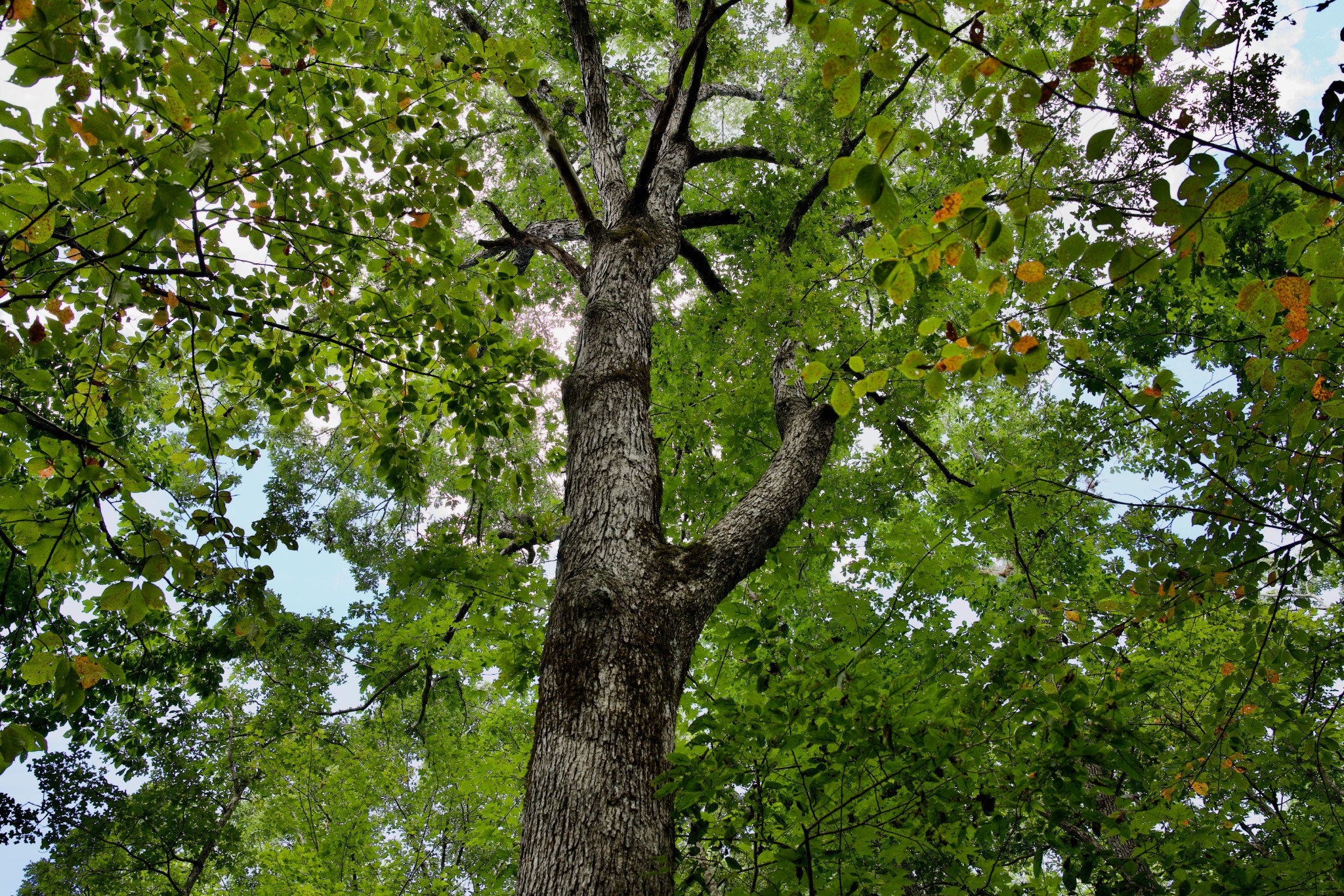 0 Simmons Rd Property Photo 7