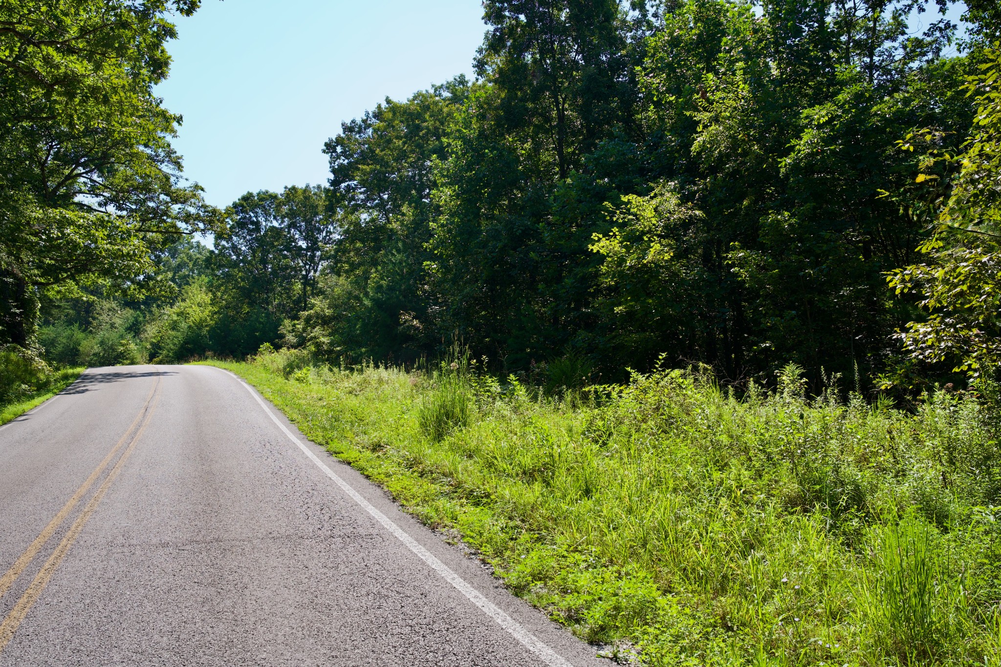 0 Simmons Rd Property Photo 11