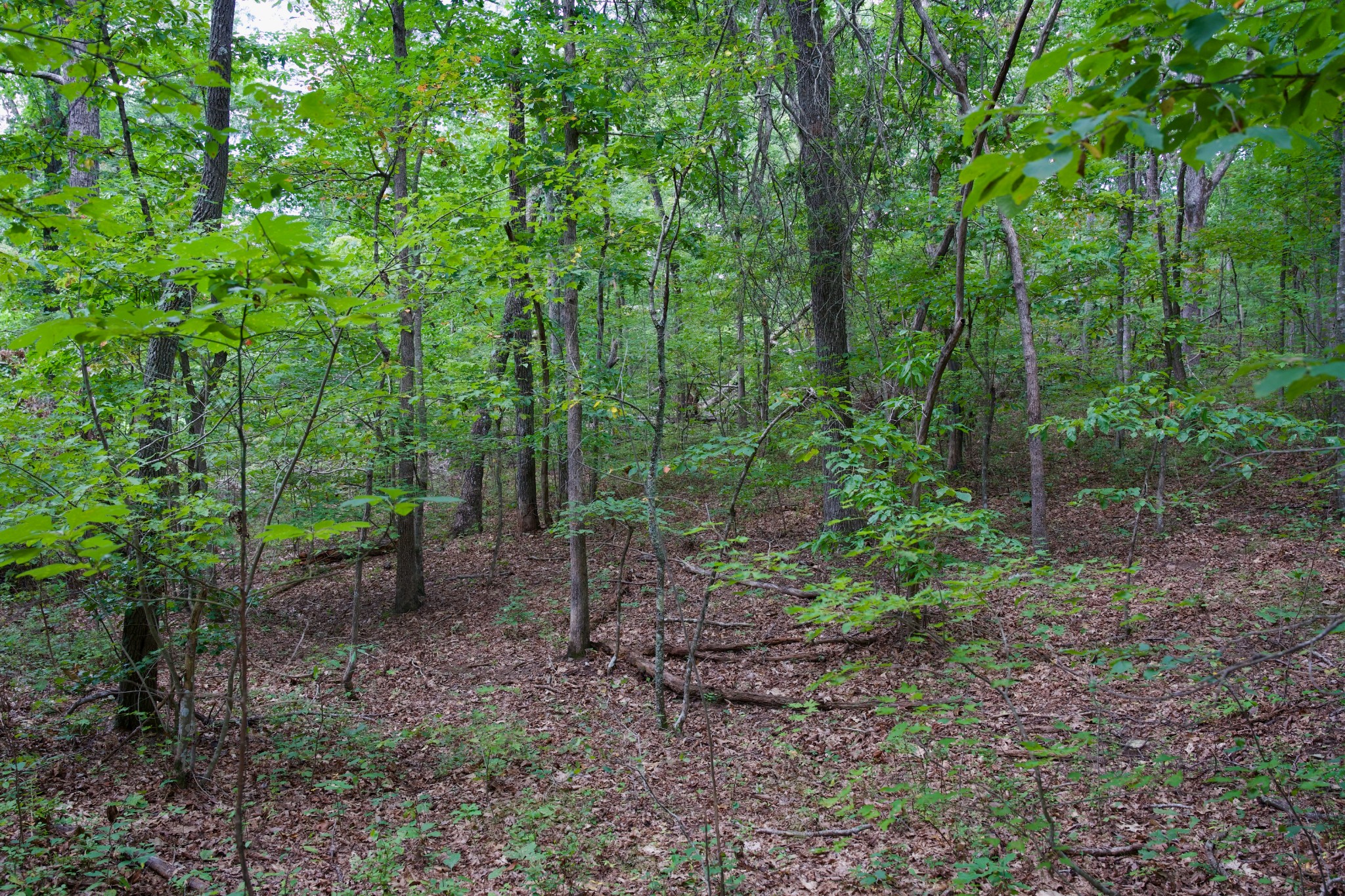 0 Simmons Rd Property Photo 22