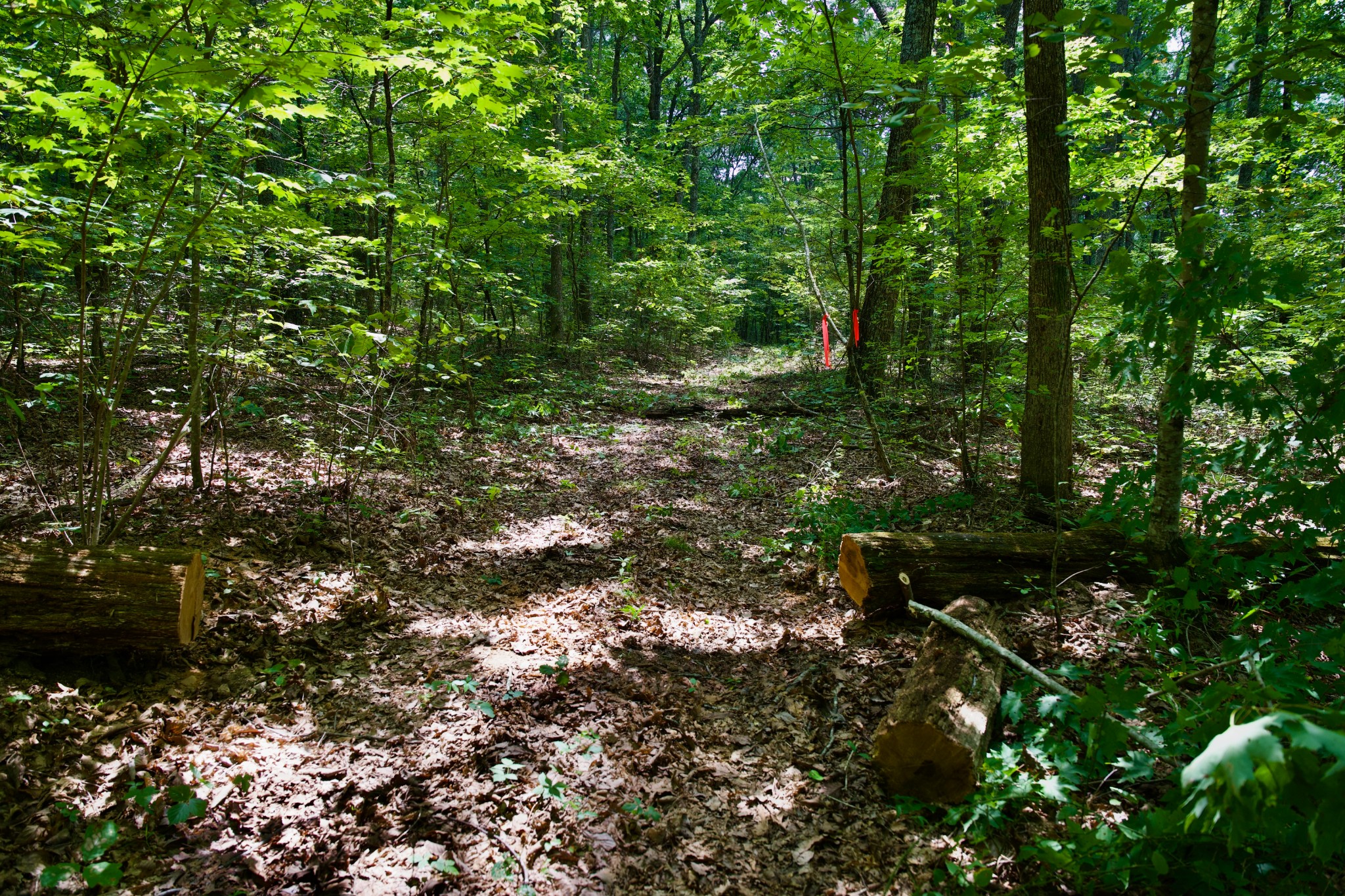 0 Simmons Rd Property Photo 23