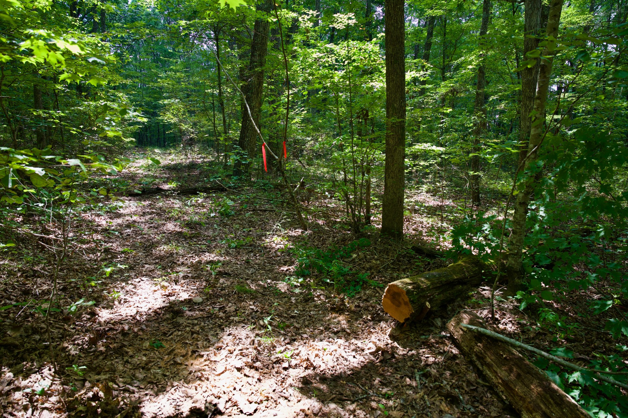 0 Simmons Rd Property Photo 24