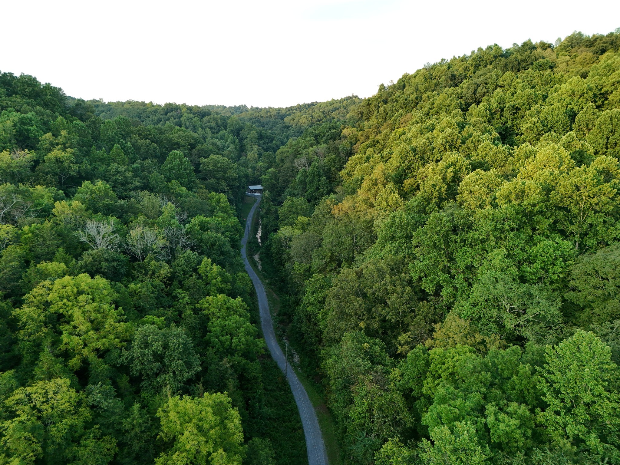 778 Jones Hollow Road Property Photo 1