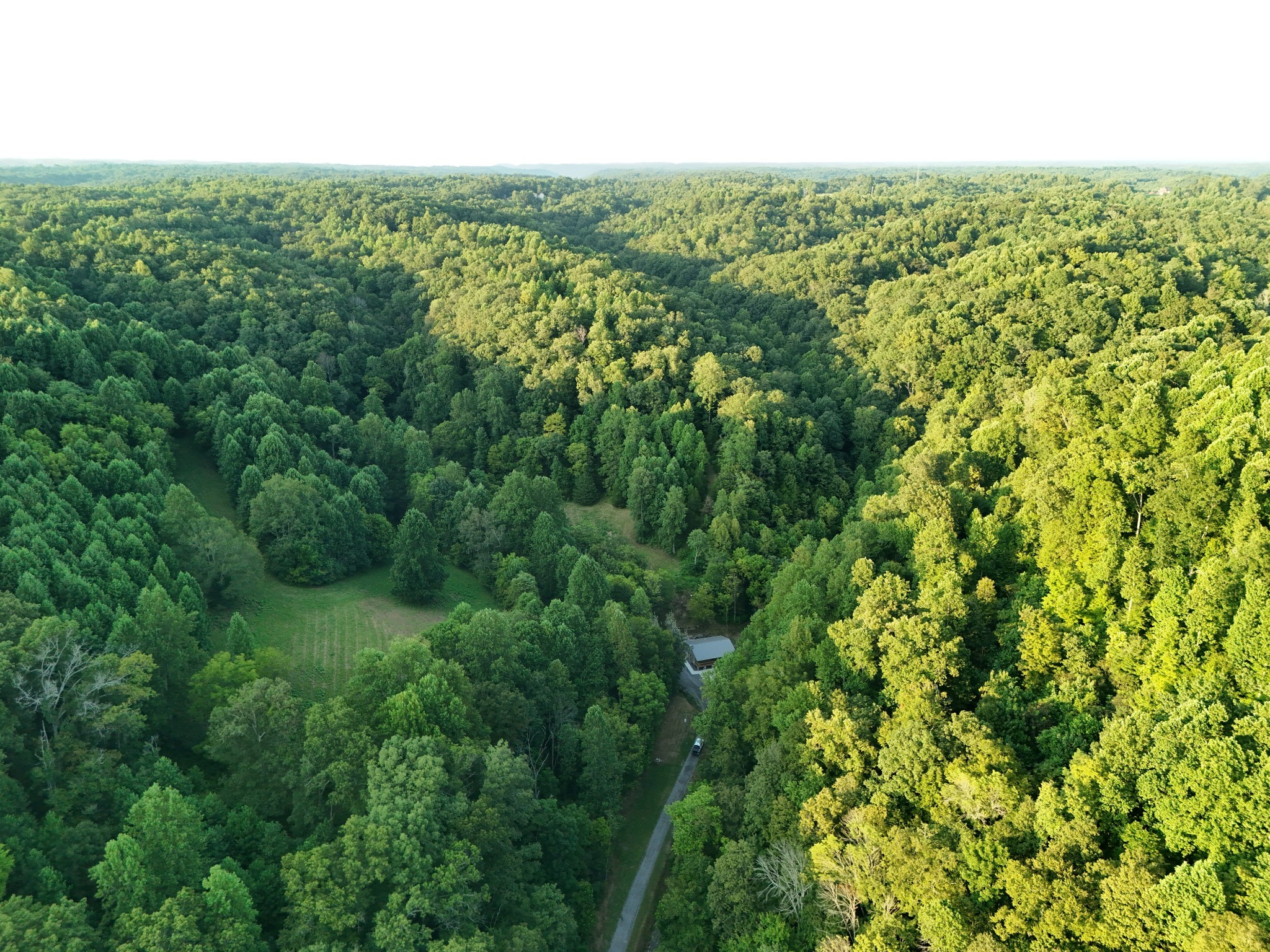 778 Jones Hollow Road Property Photo 2