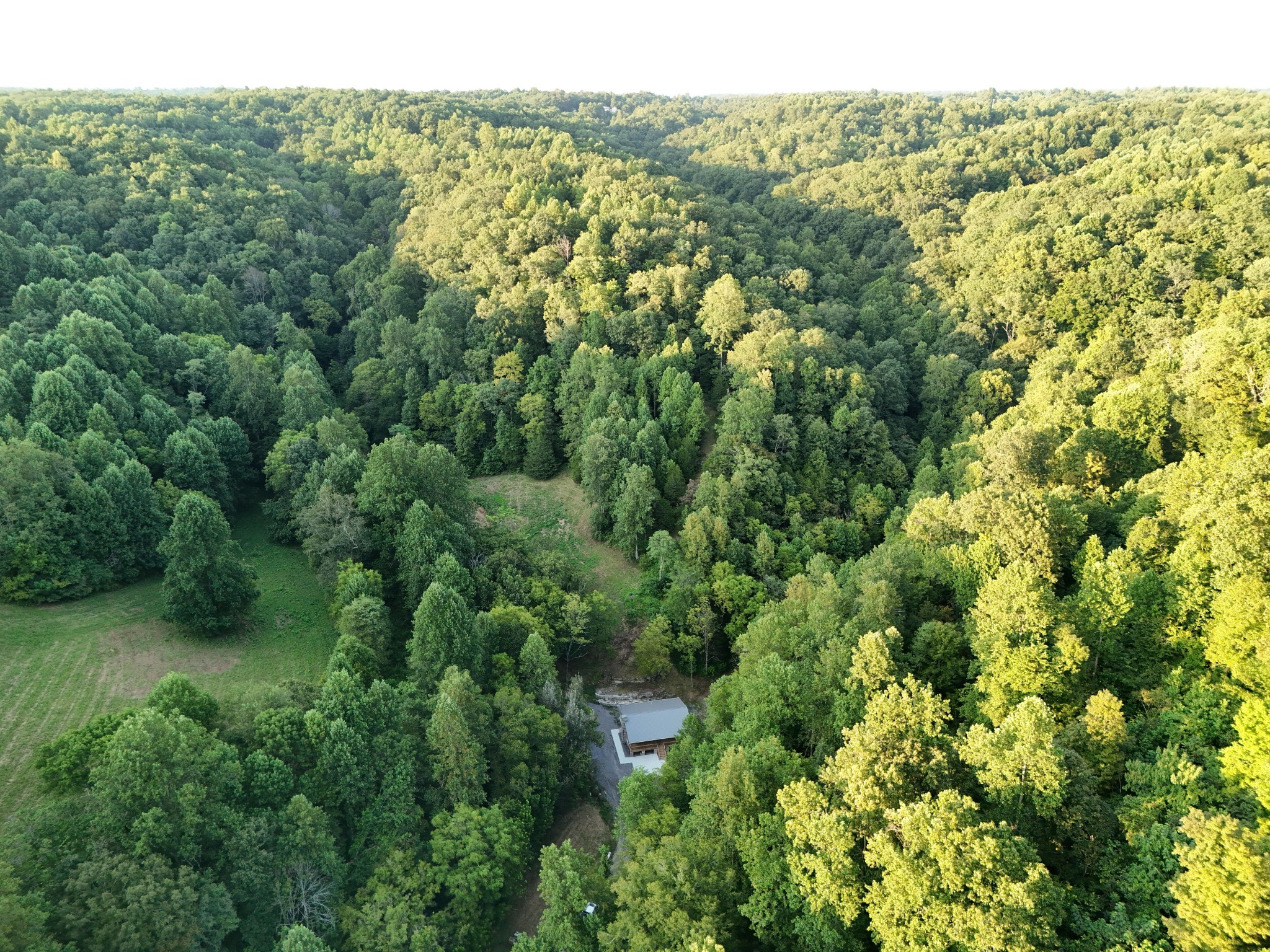 778 Jones Hollow Road Property Photo 3