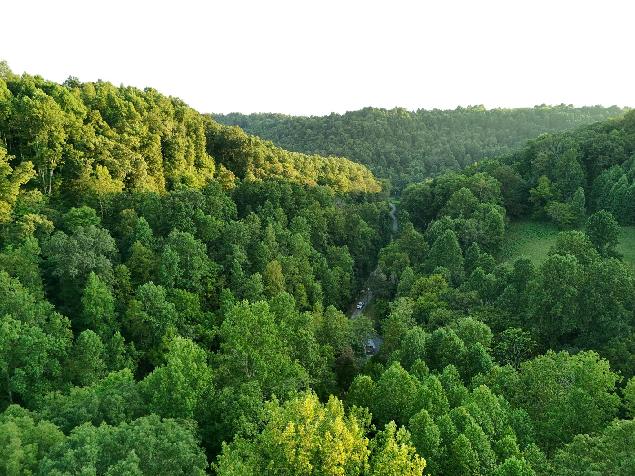 778 Jones Hollow Road Property Photo 17