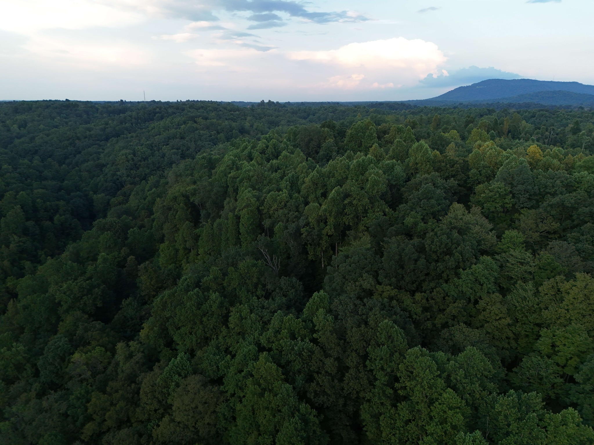 778 Jones Hollow Road Property Photo 18