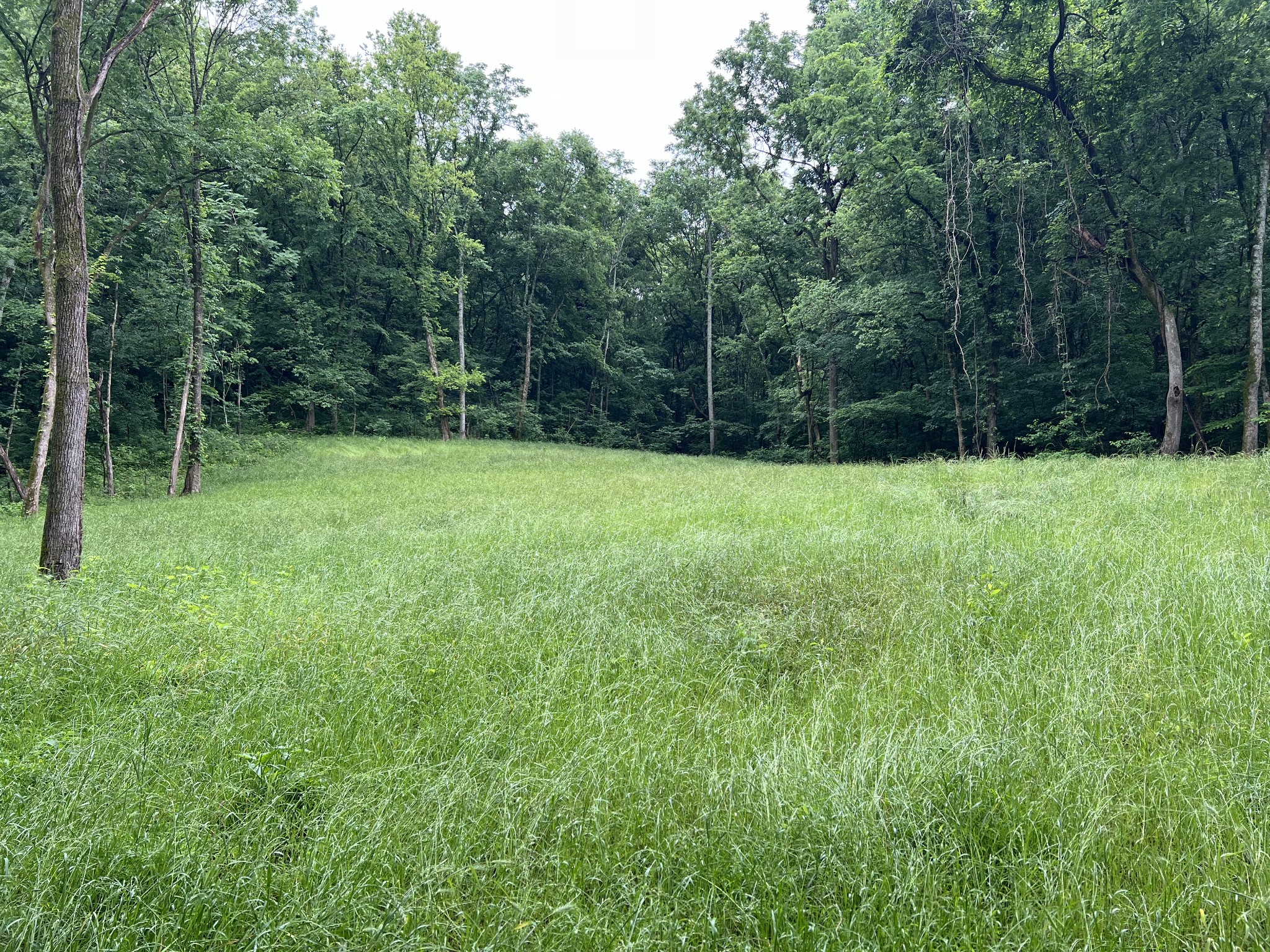 0 Preacher Holt Rd Property Photo 6