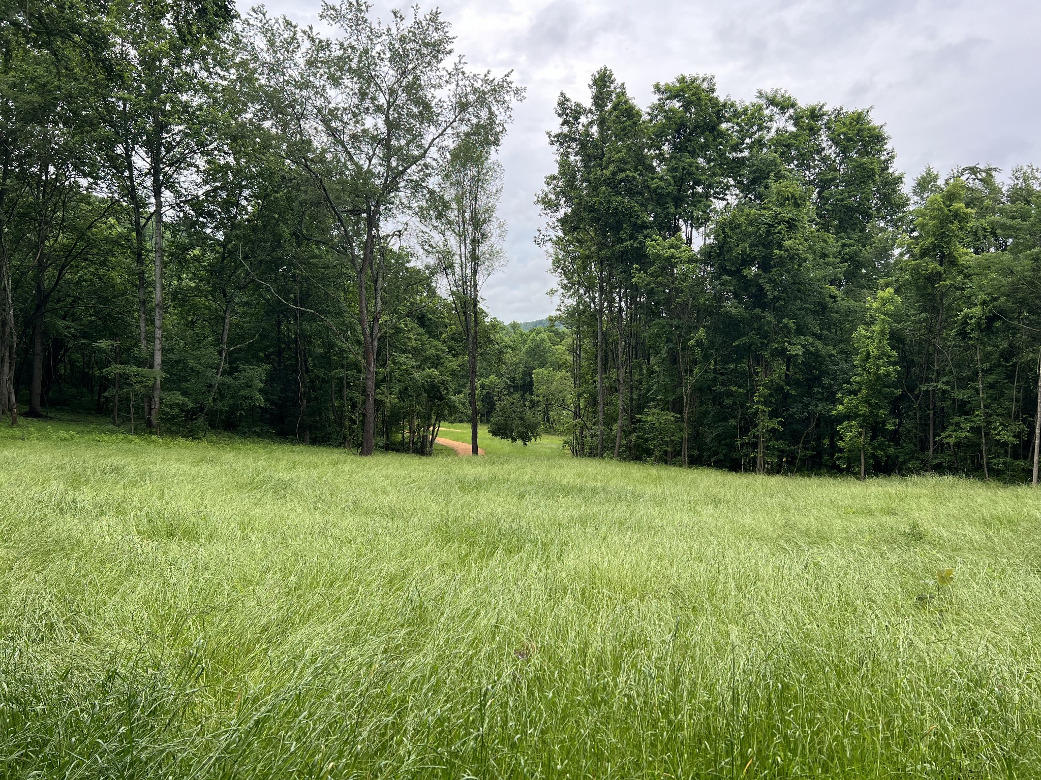 0 Preacher Holt Rd Property Photo 7