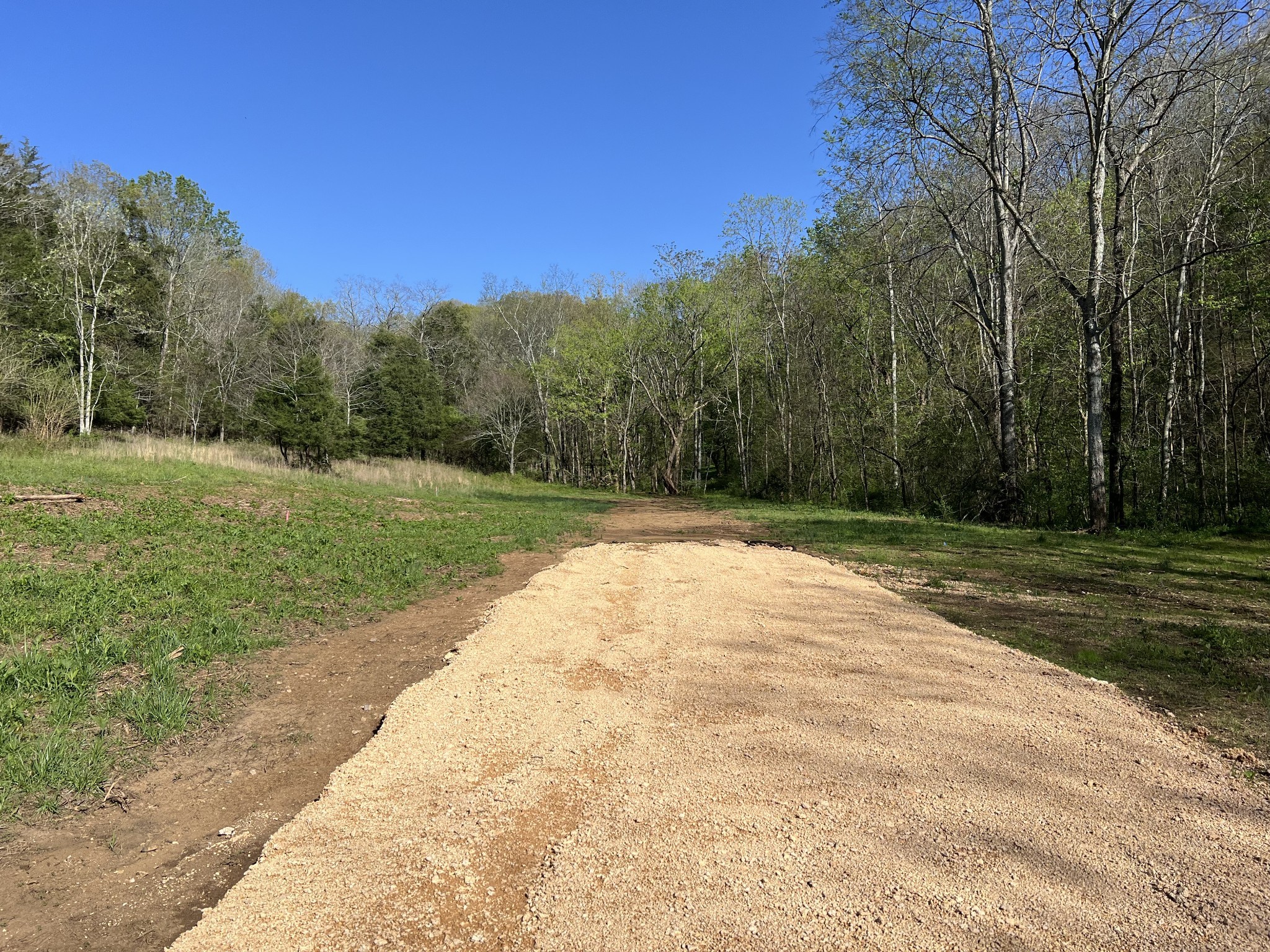 0 Preacher Holt Rd Property Photo 11