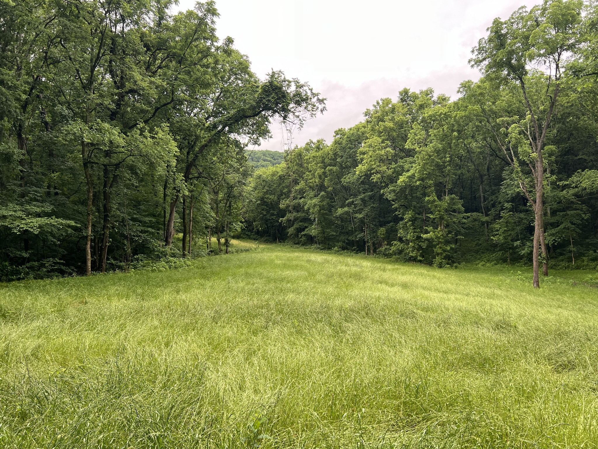 0 Preacher Holt Rd Property Photo 2