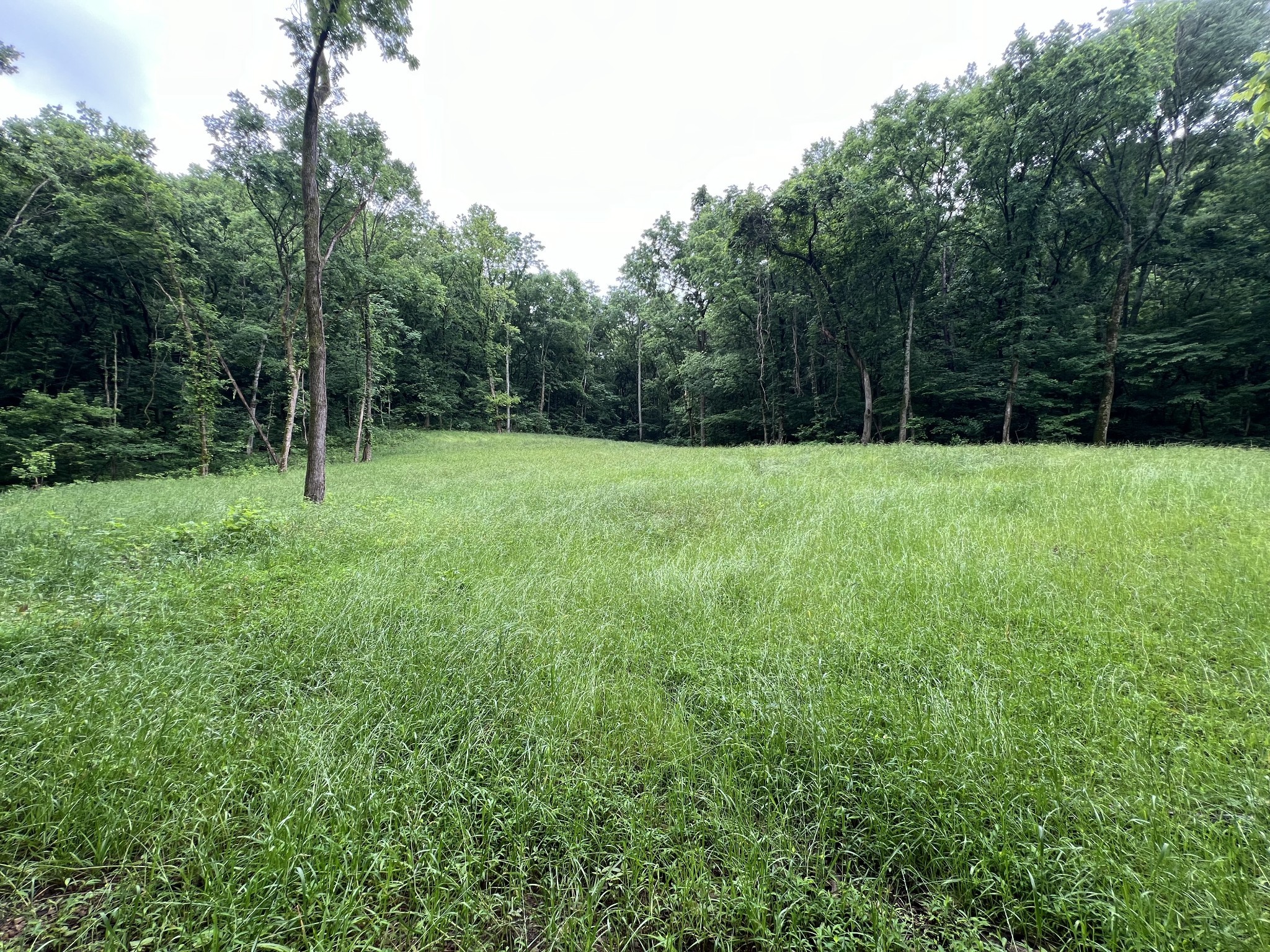 0 Preacher Holt Rd Property Photo 3