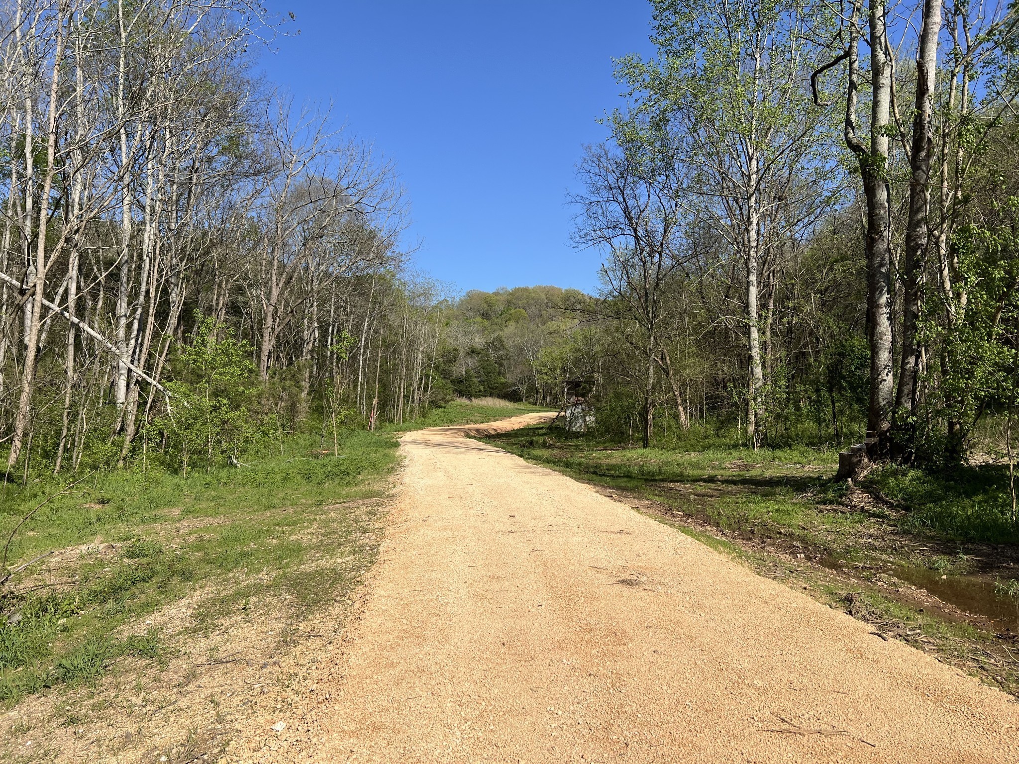 0 Preacher Holt Rd Property Photo 8