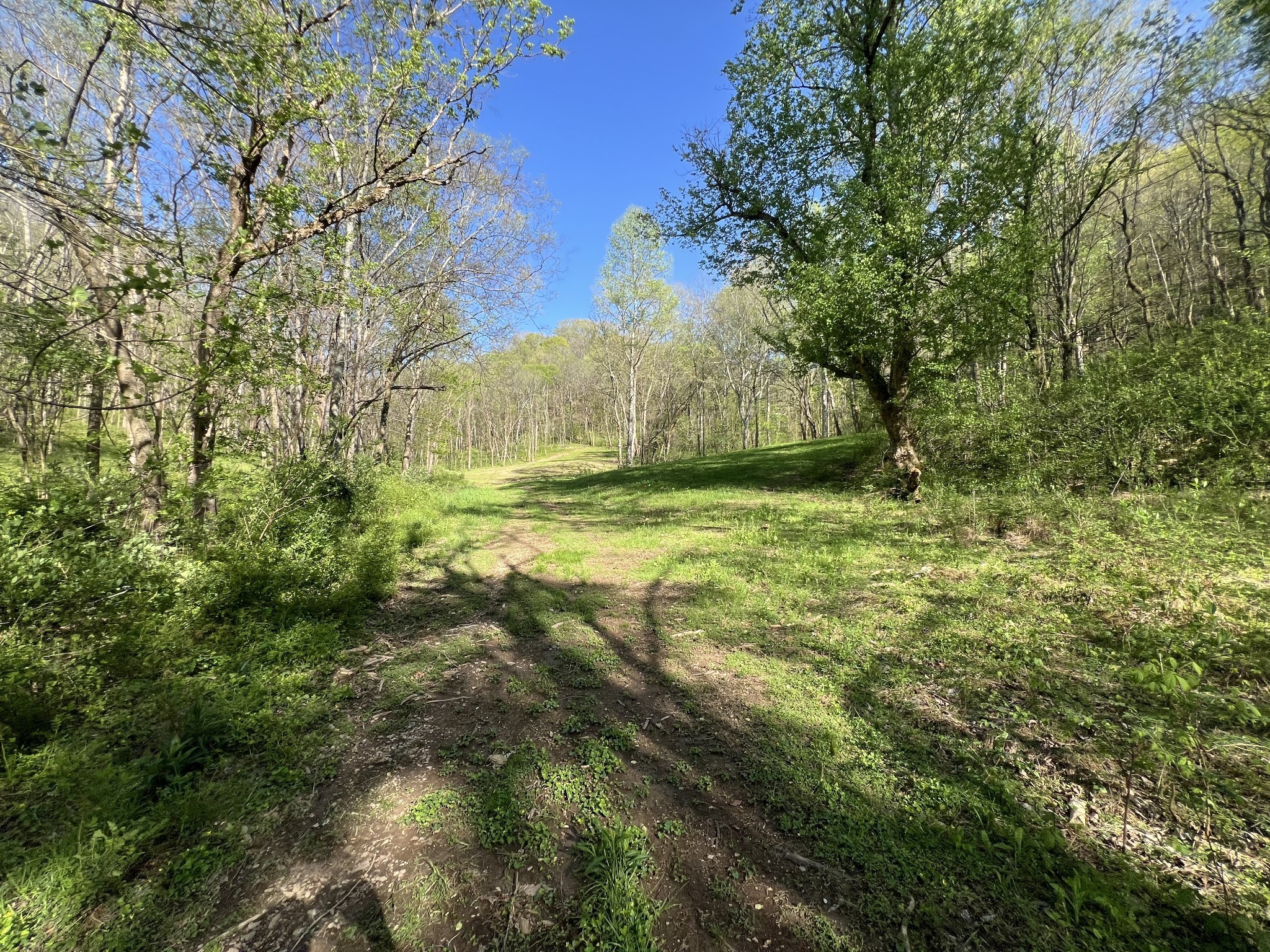 0 Preacher Holt Rd Property Photo 10