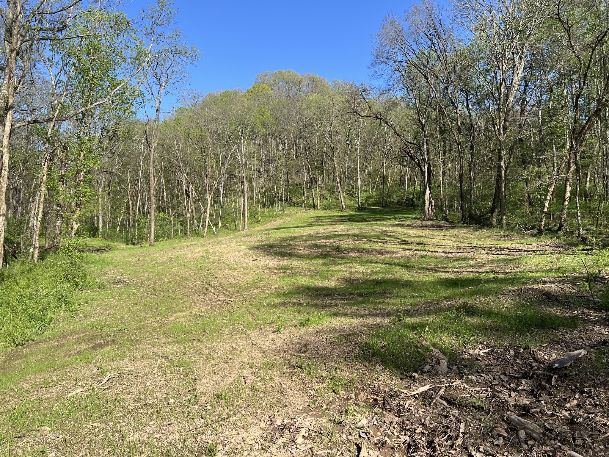 0 Preacher Holt Rd Property Photo 11