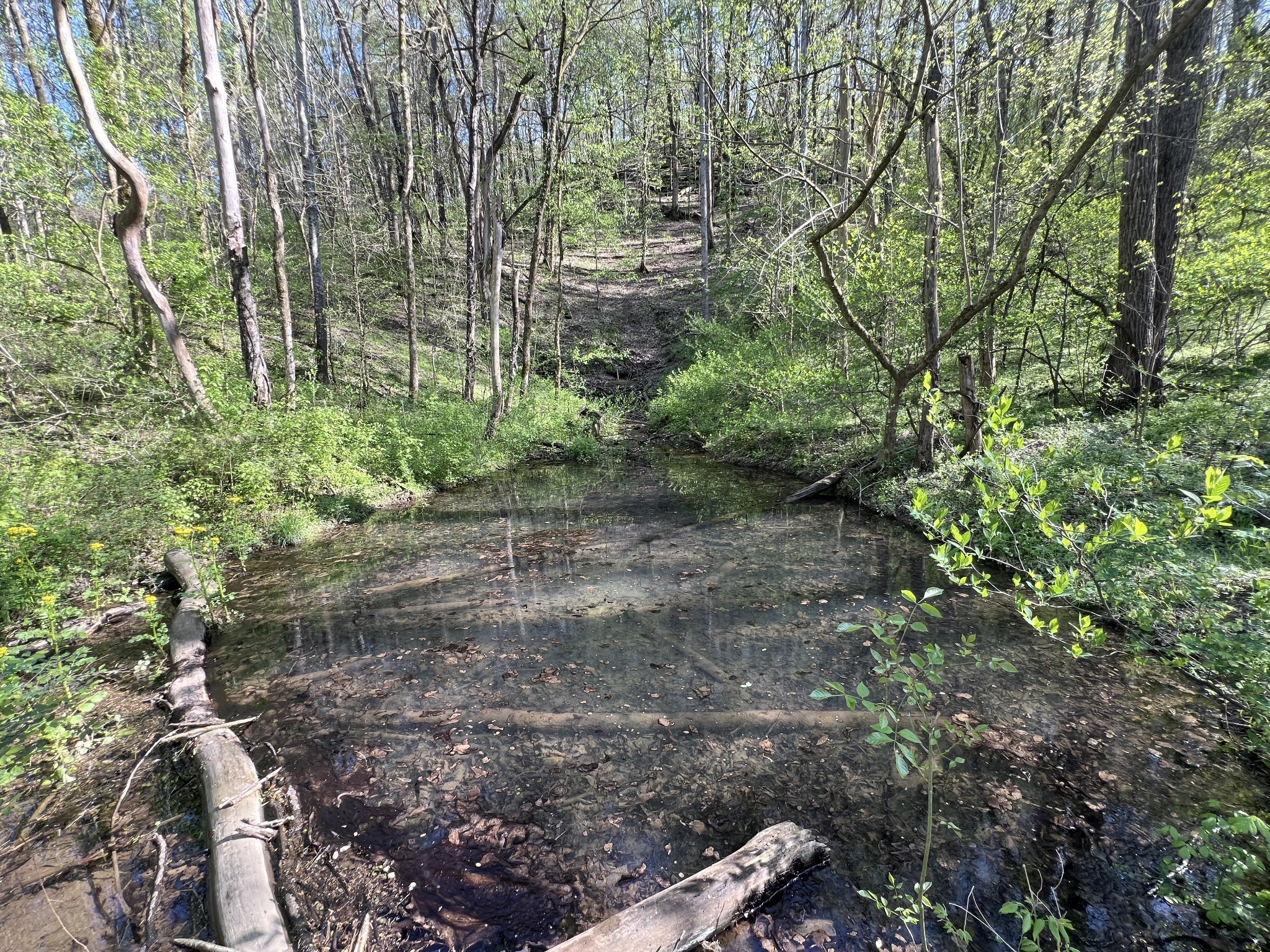 0 Preacher Holt Rd Property Photo 12