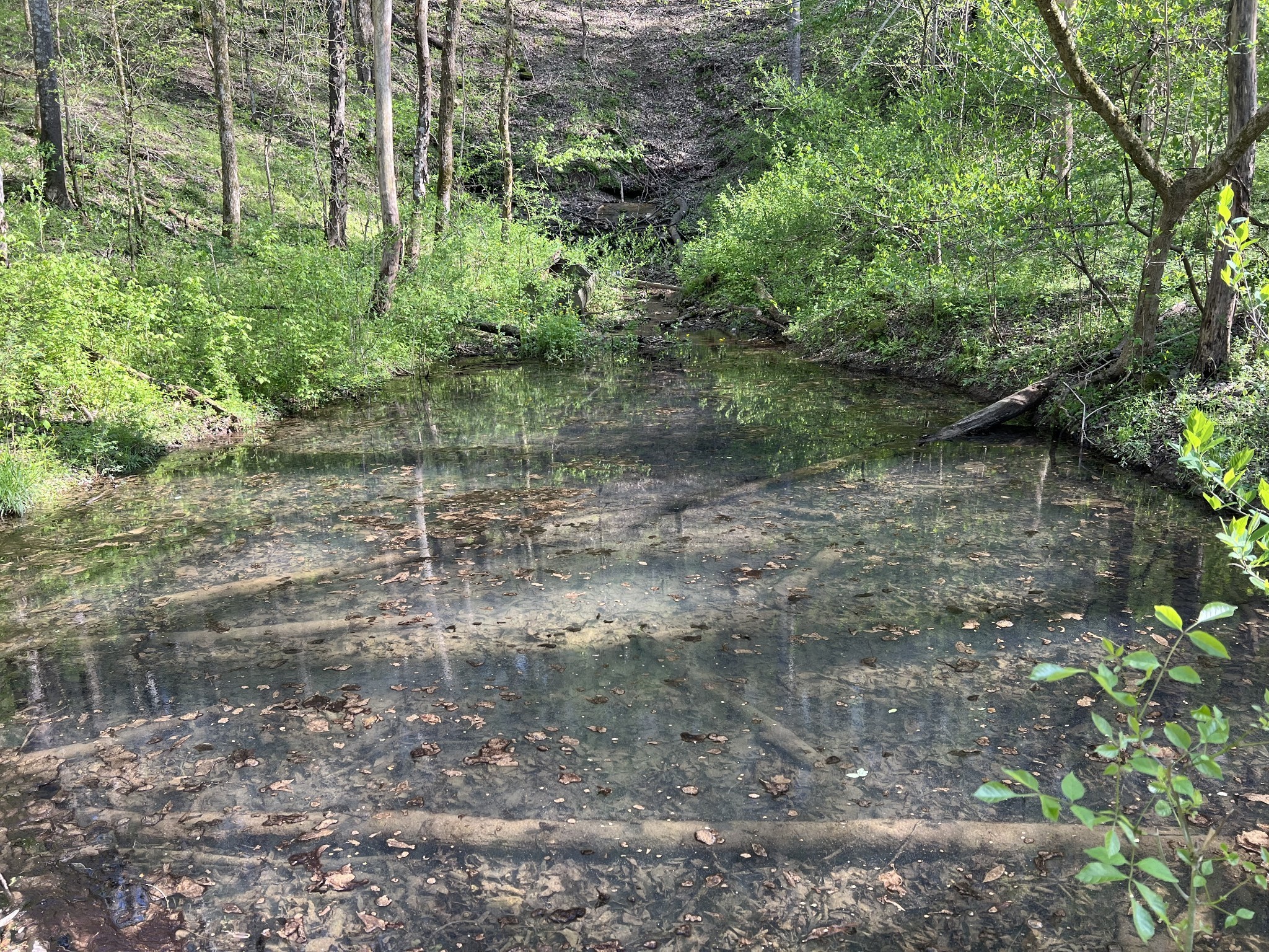 0 Preacher Holt Rd Property Photo 13