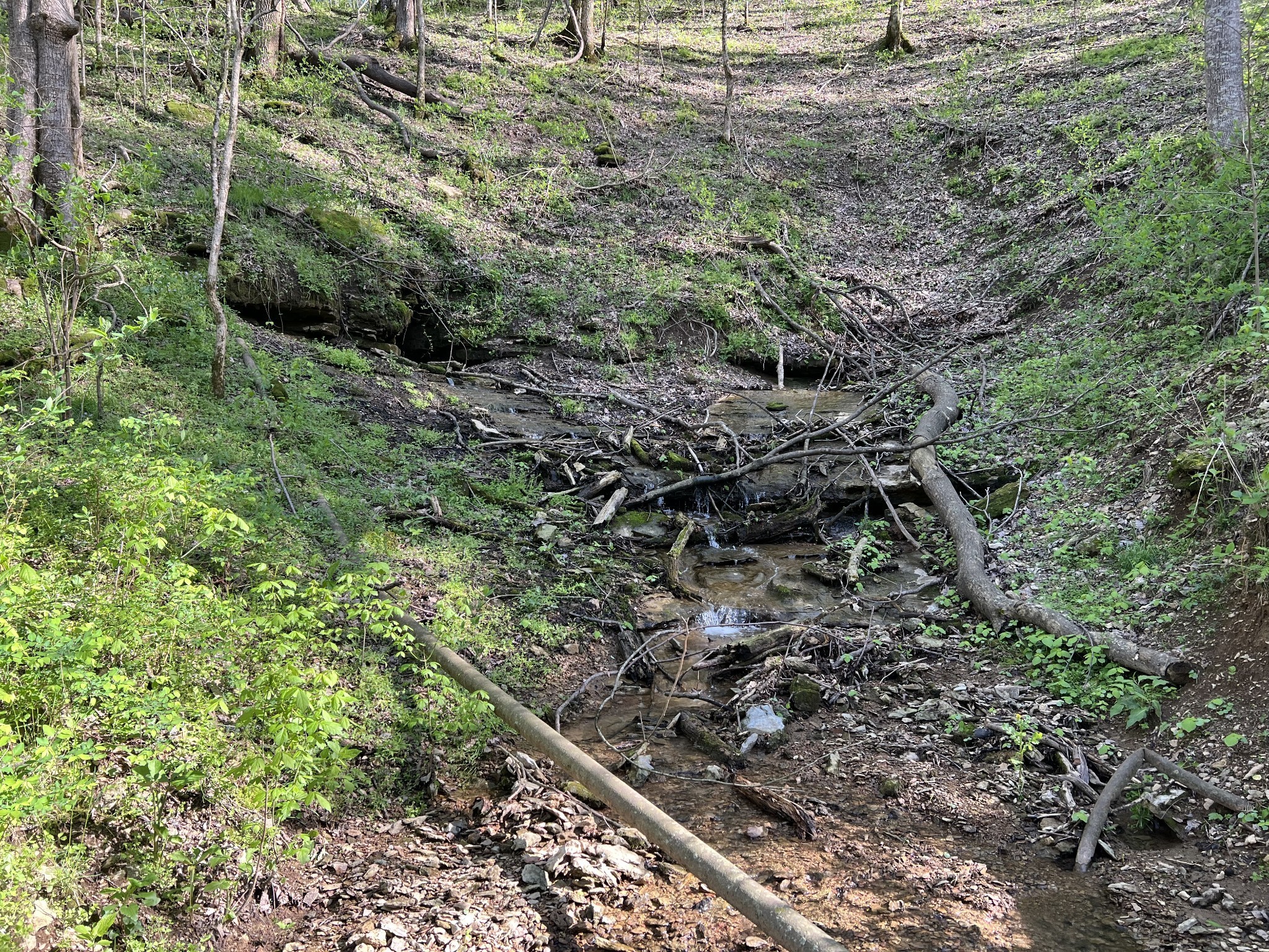 0 Preacher Holt Rd Property Photo 14