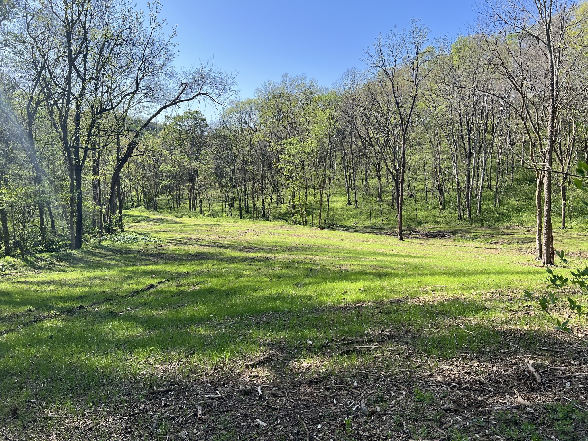 0 Preacher Holt Rd Property Photo 15