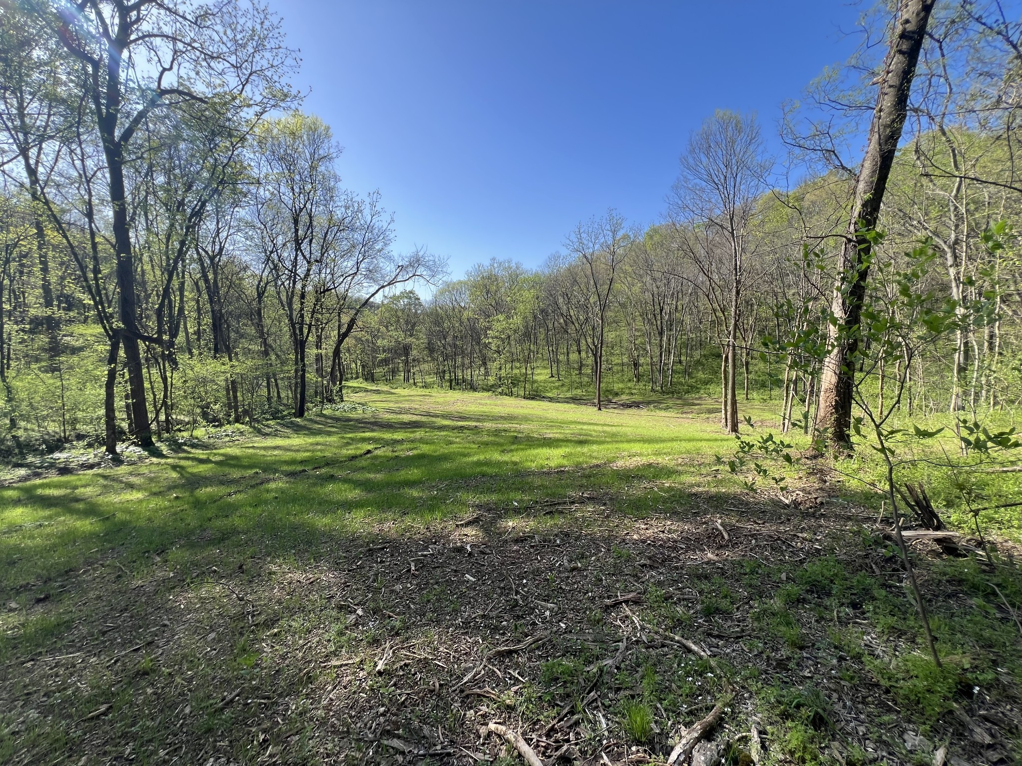 0 Preacher Holt Rd Property Photo 16