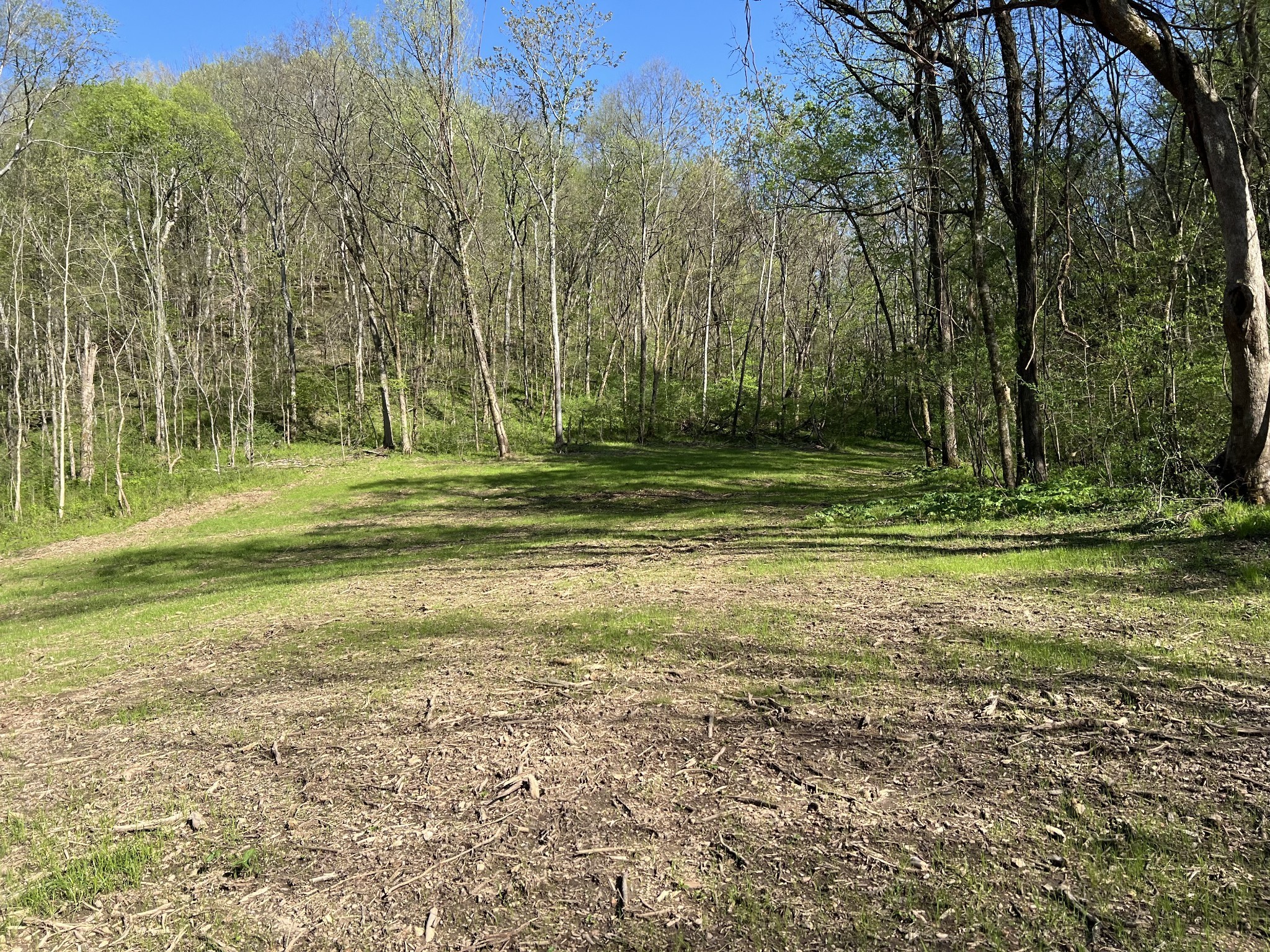 0 Preacher Holt Rd Property Photo 17