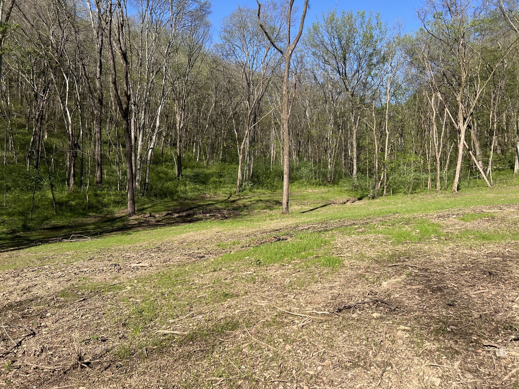 0 Preacher Holt Rd Property Photo 18