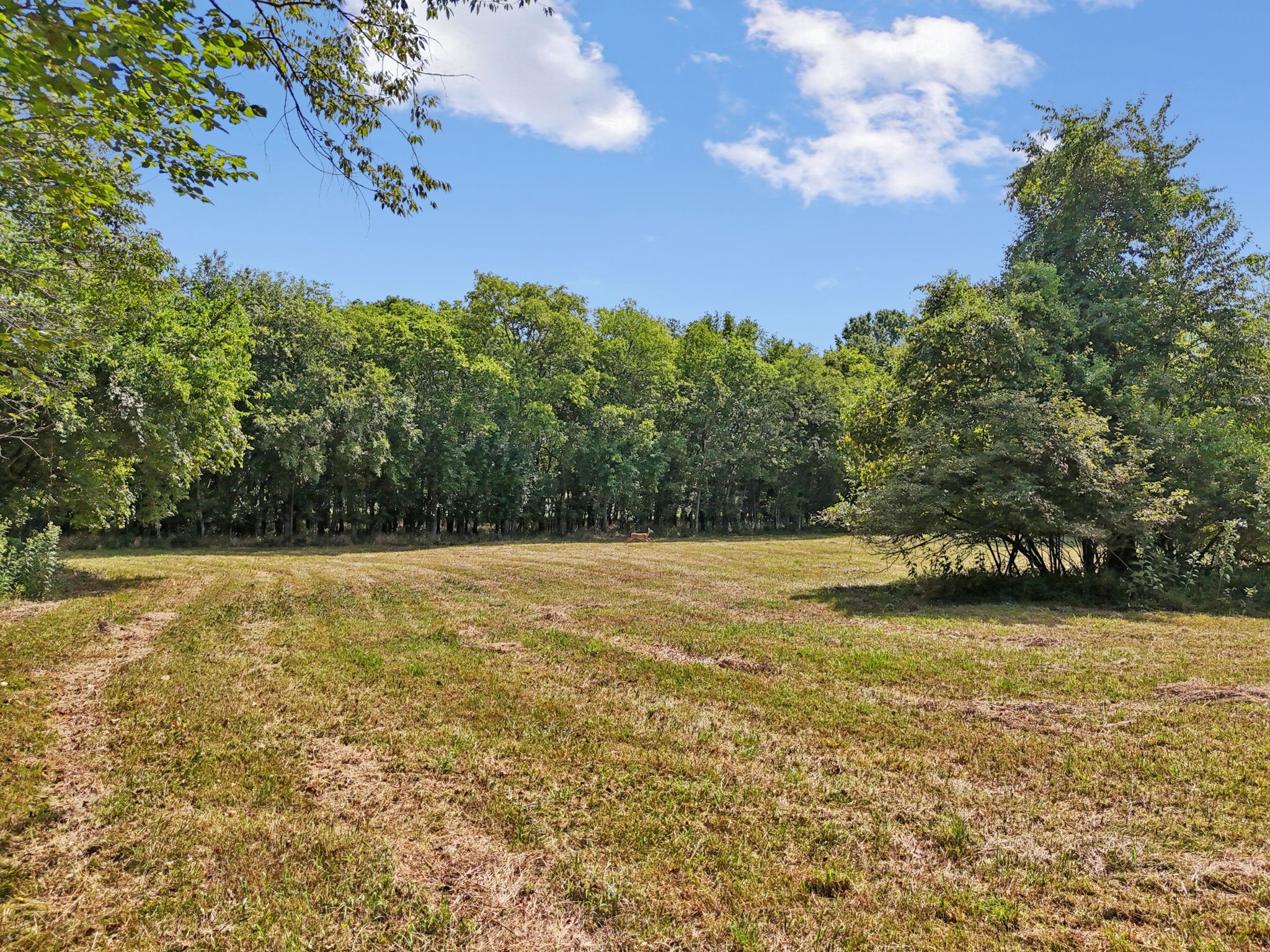 3 Lebanon Rd Property Photo 15