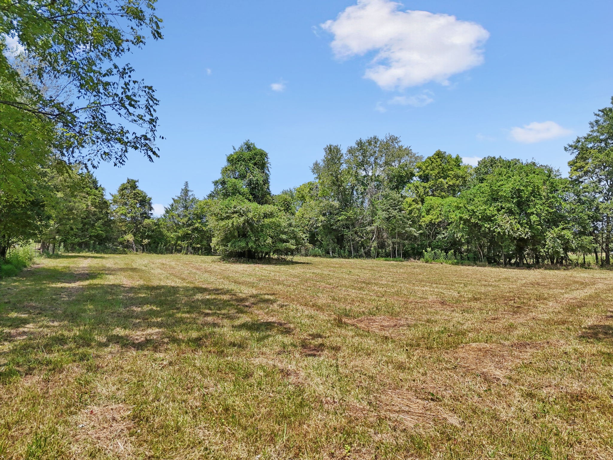 3 Lebanon Rd Property Photo 18