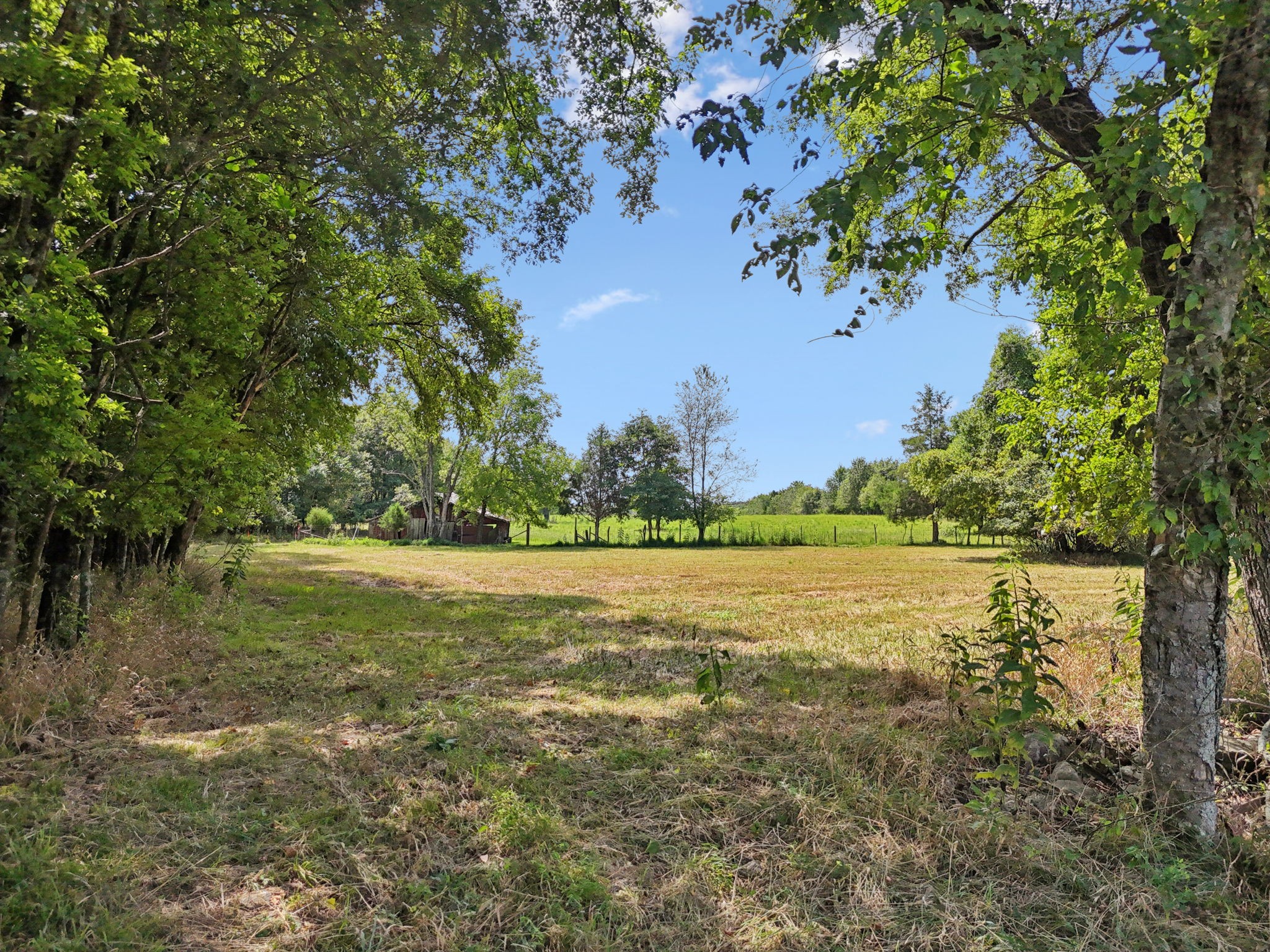 3 Lebanon Rd Property Photo 19