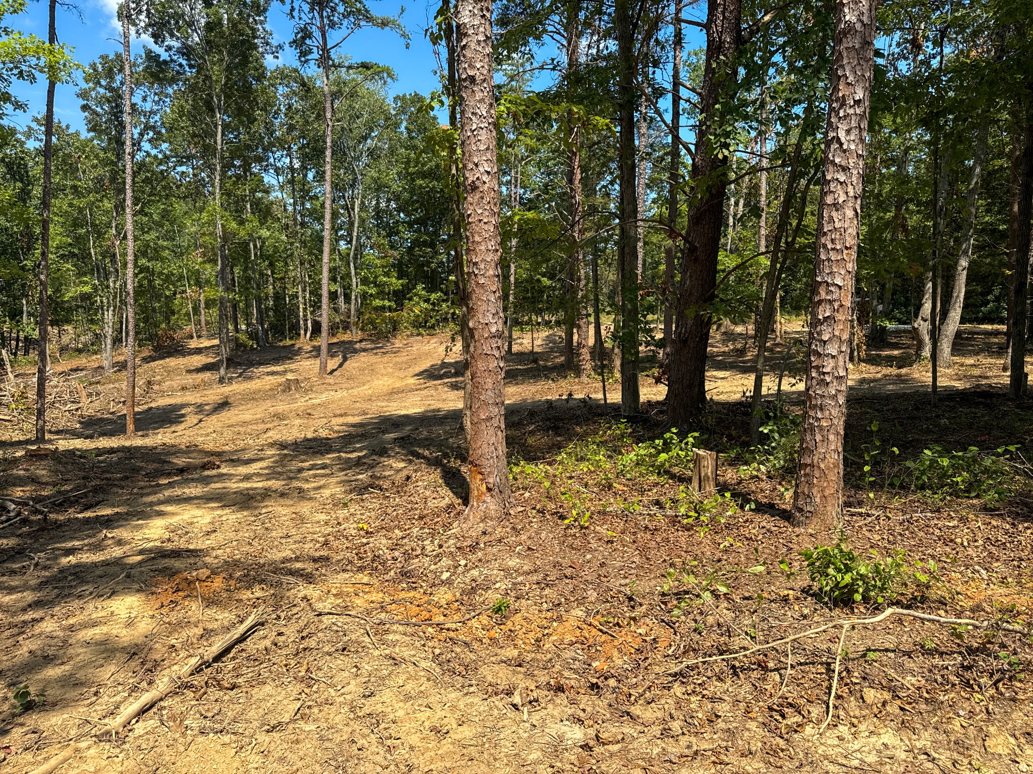 0 Richard Dorning Rd Property Photo 5