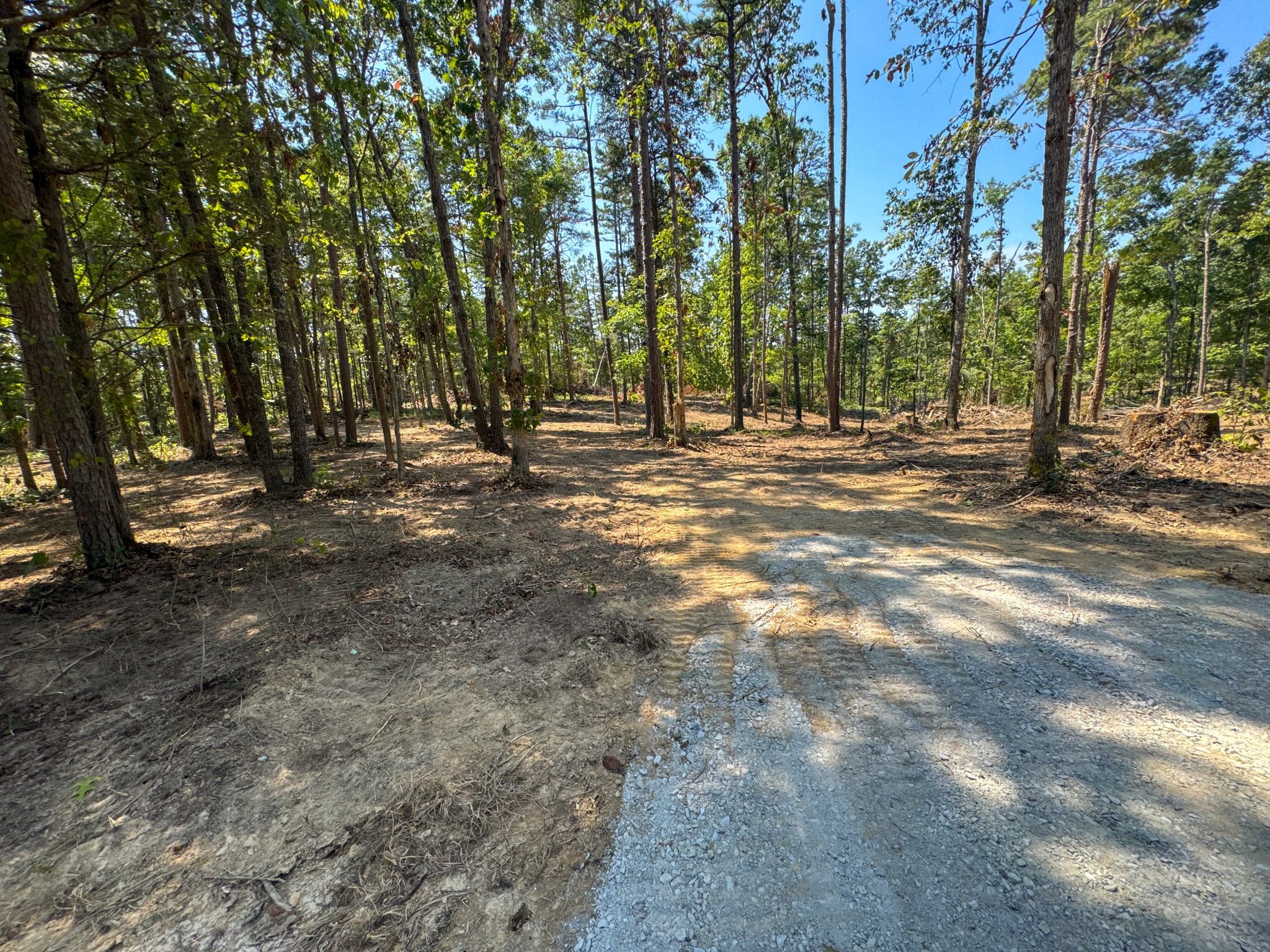 0 Richard Dorning Rd Property Photo 6