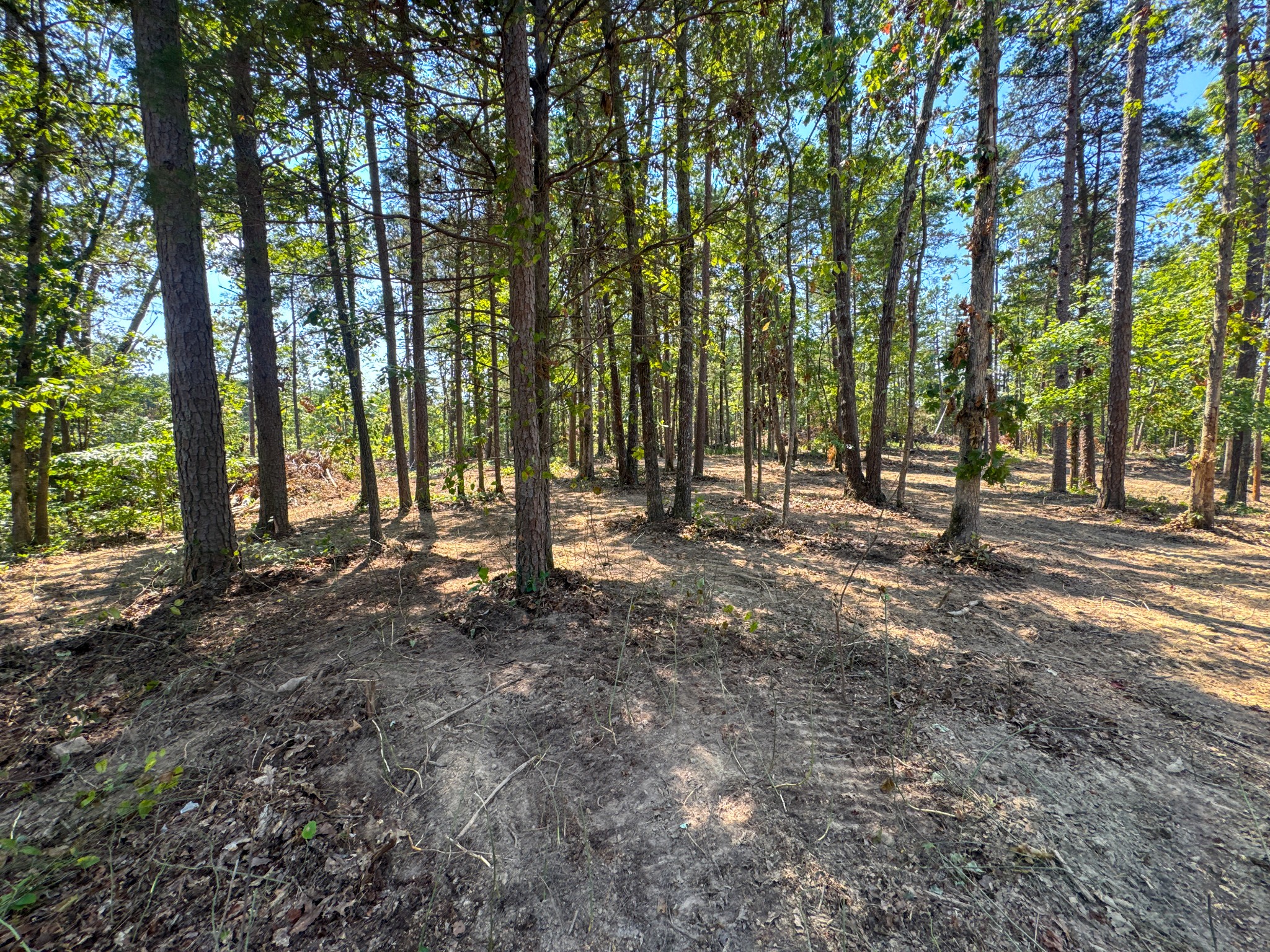 0 Richard Dorning Rd Property Photo 7