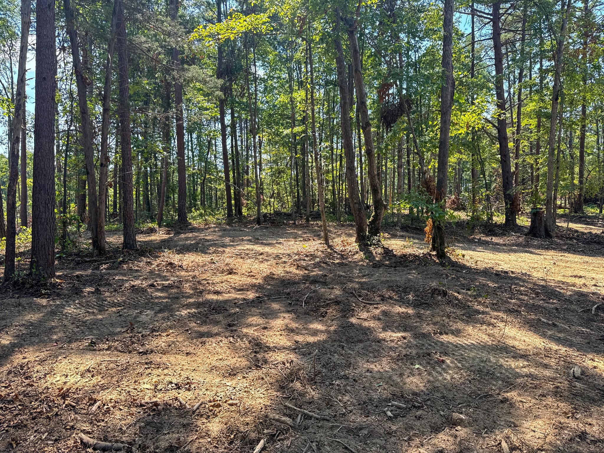 0 Richard Dorning Rd Property Photo 9