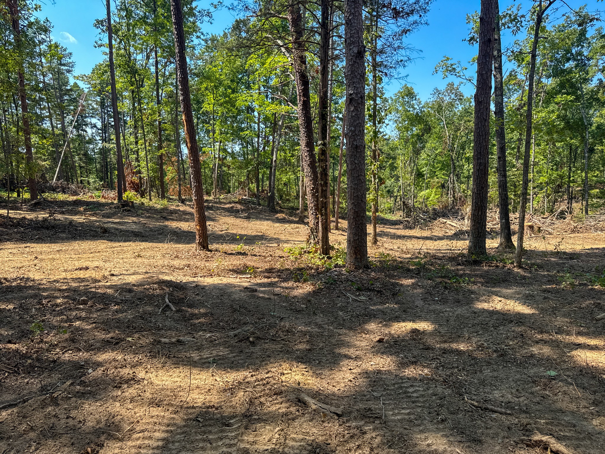 0 Richard Dorning Rd Property Photo 10