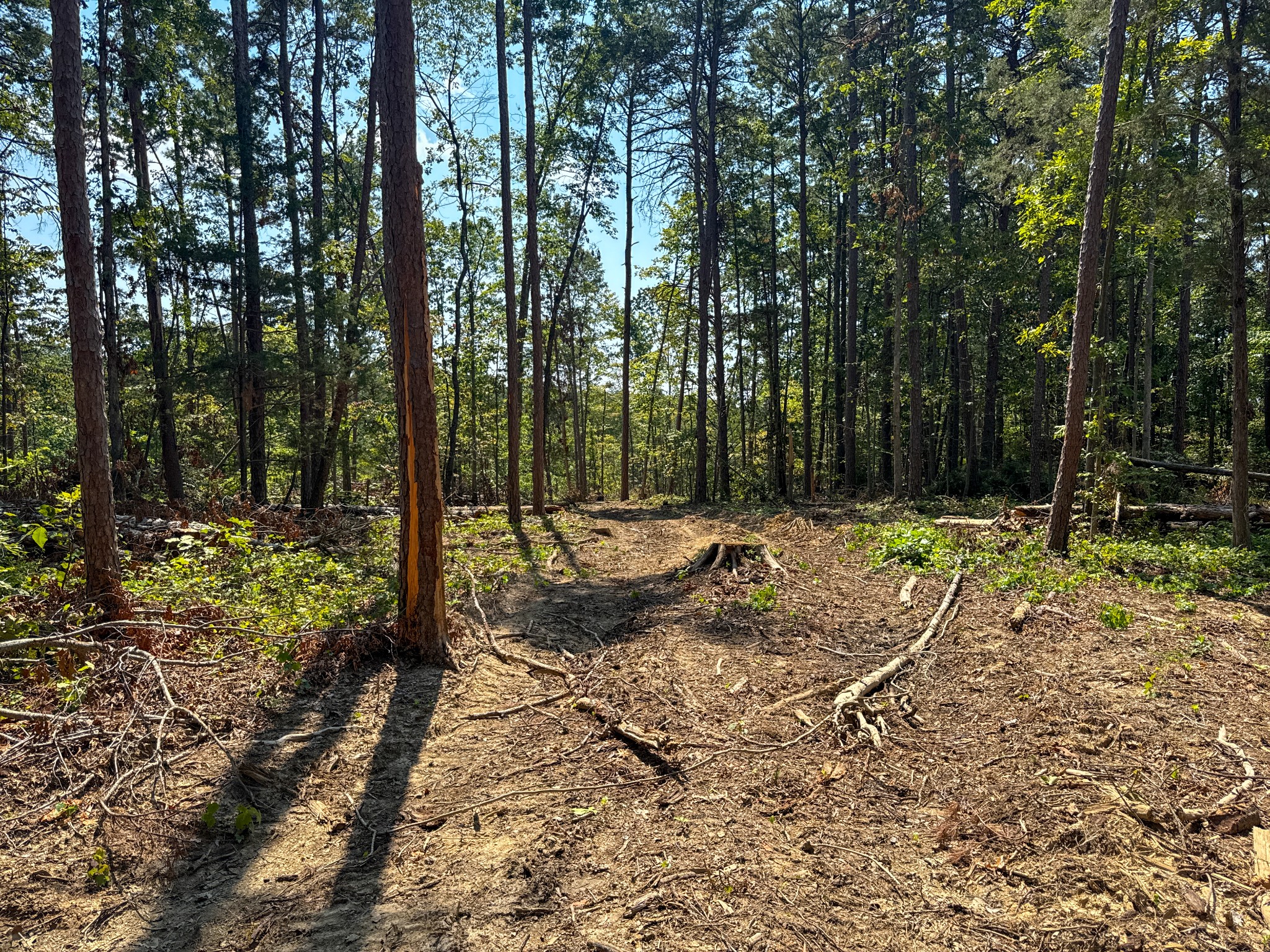 0 Richard Dorning Rd Property Photo 11