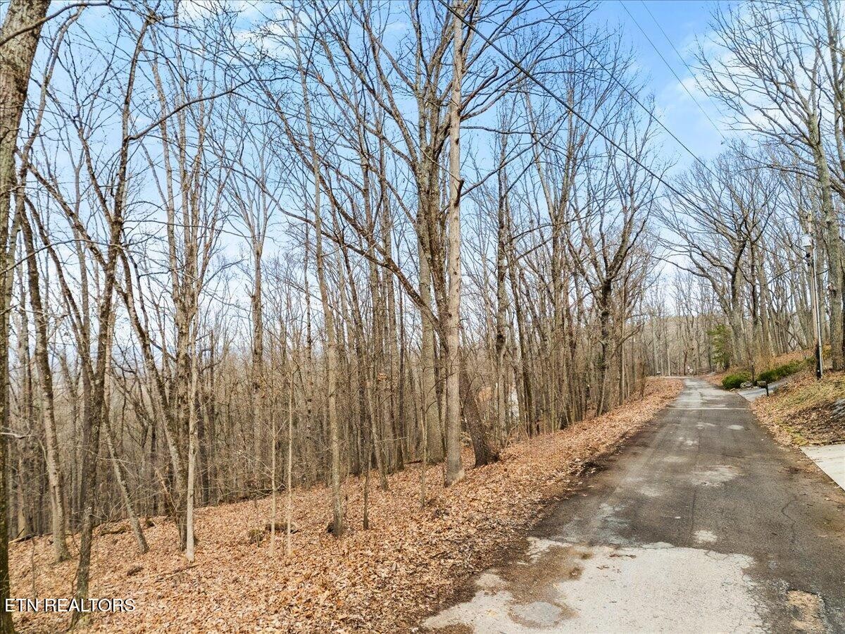 0 Eagle Ridge Ln Property Photo 8