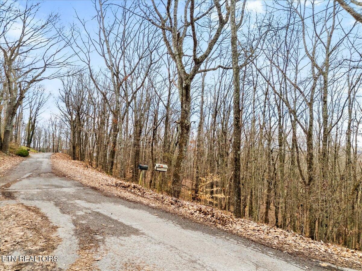 0 Eagle Ridge Ln Property Photo 9