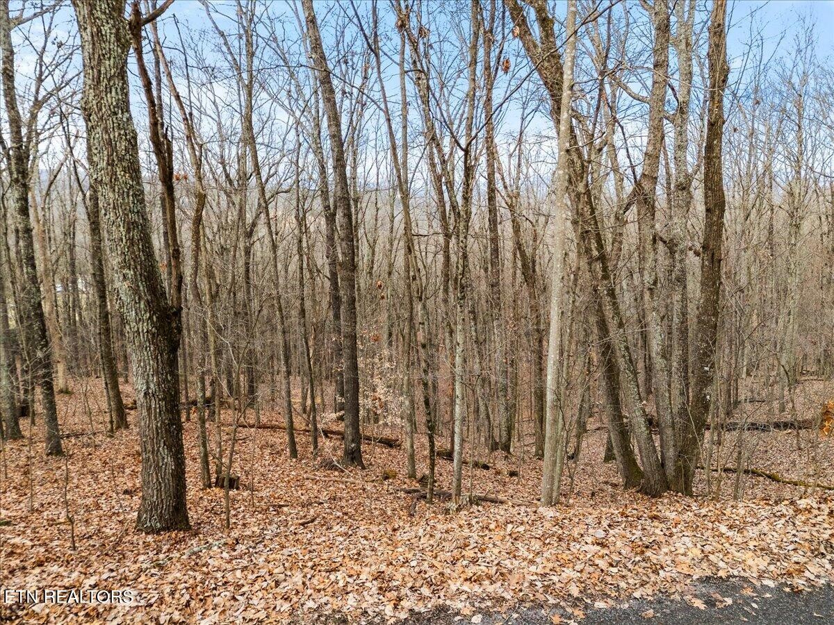 0 Eagle Ridge Ln Property Photo 10