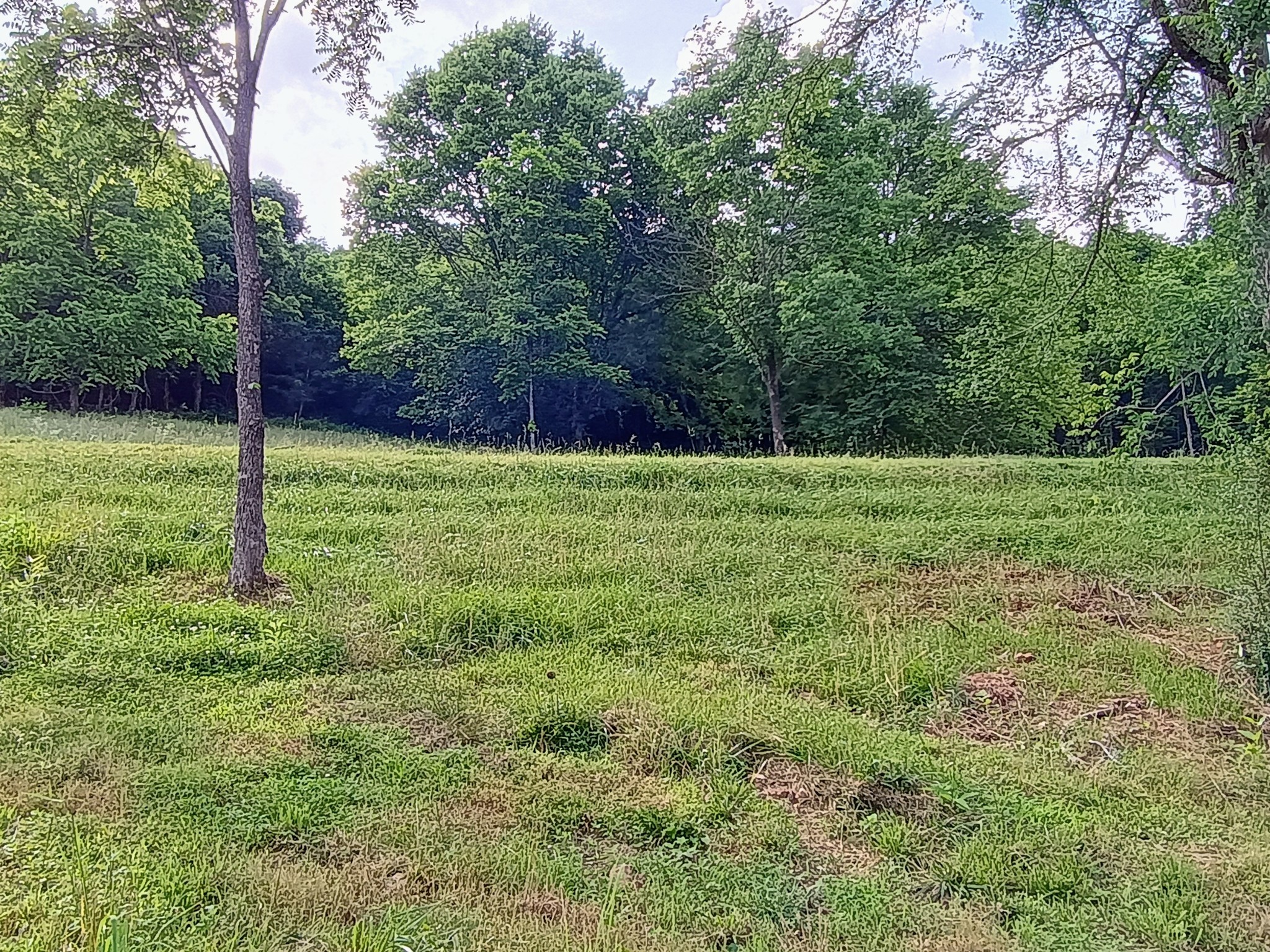 2847 Sorrells Property Photo 3