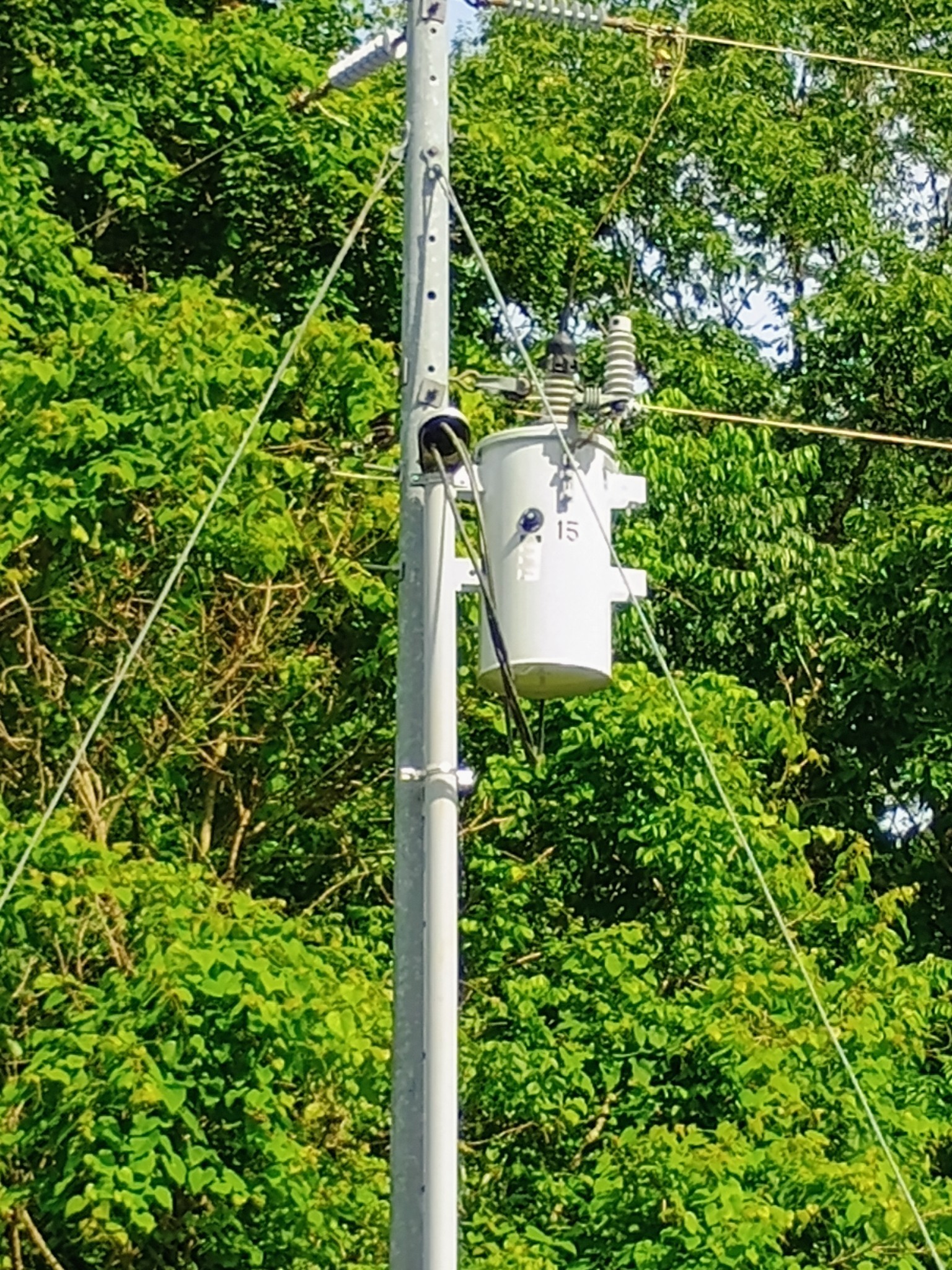 2847 Sorrells Property Photo 7