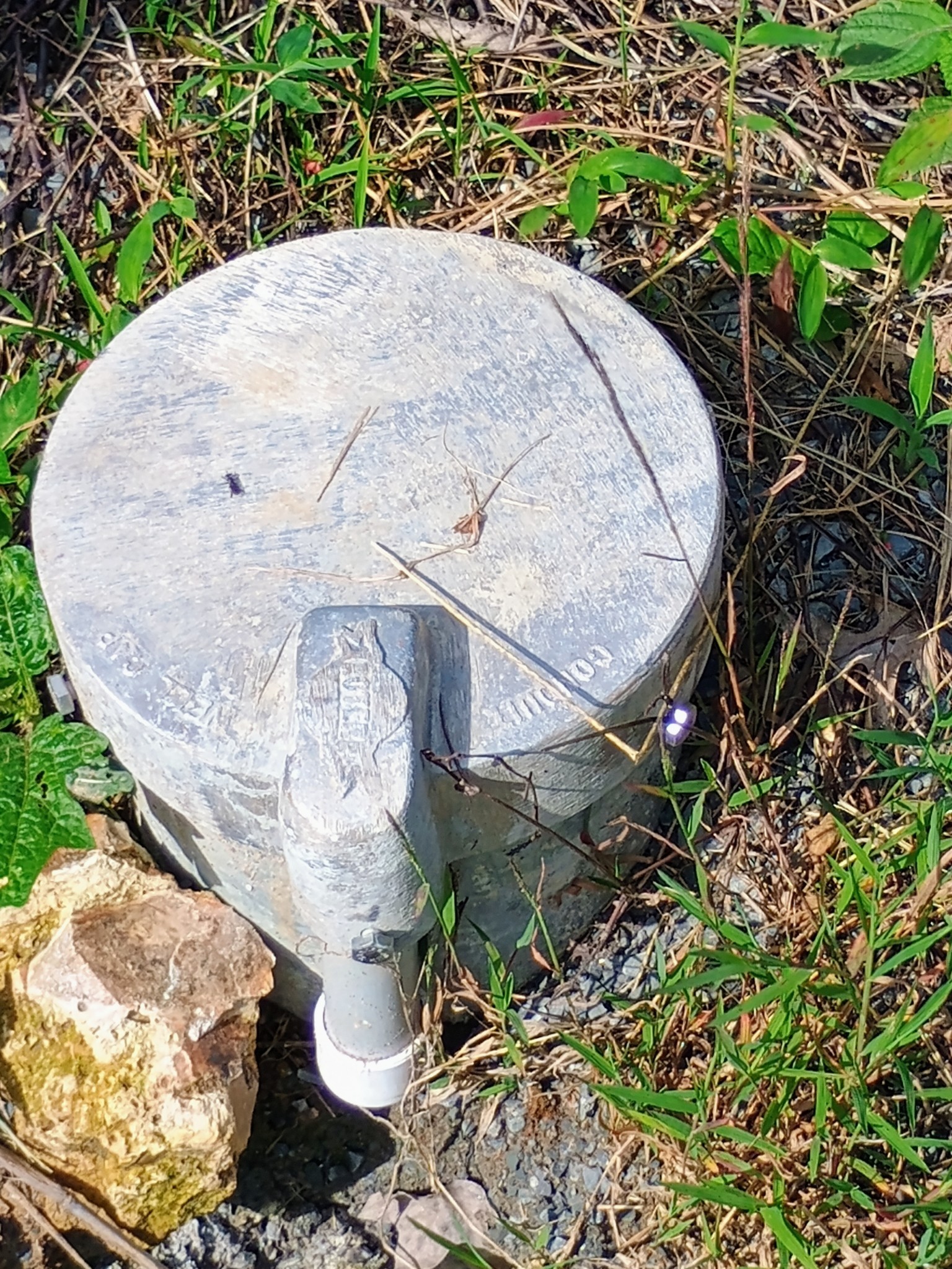 2847 Sorrells Property Photo 8