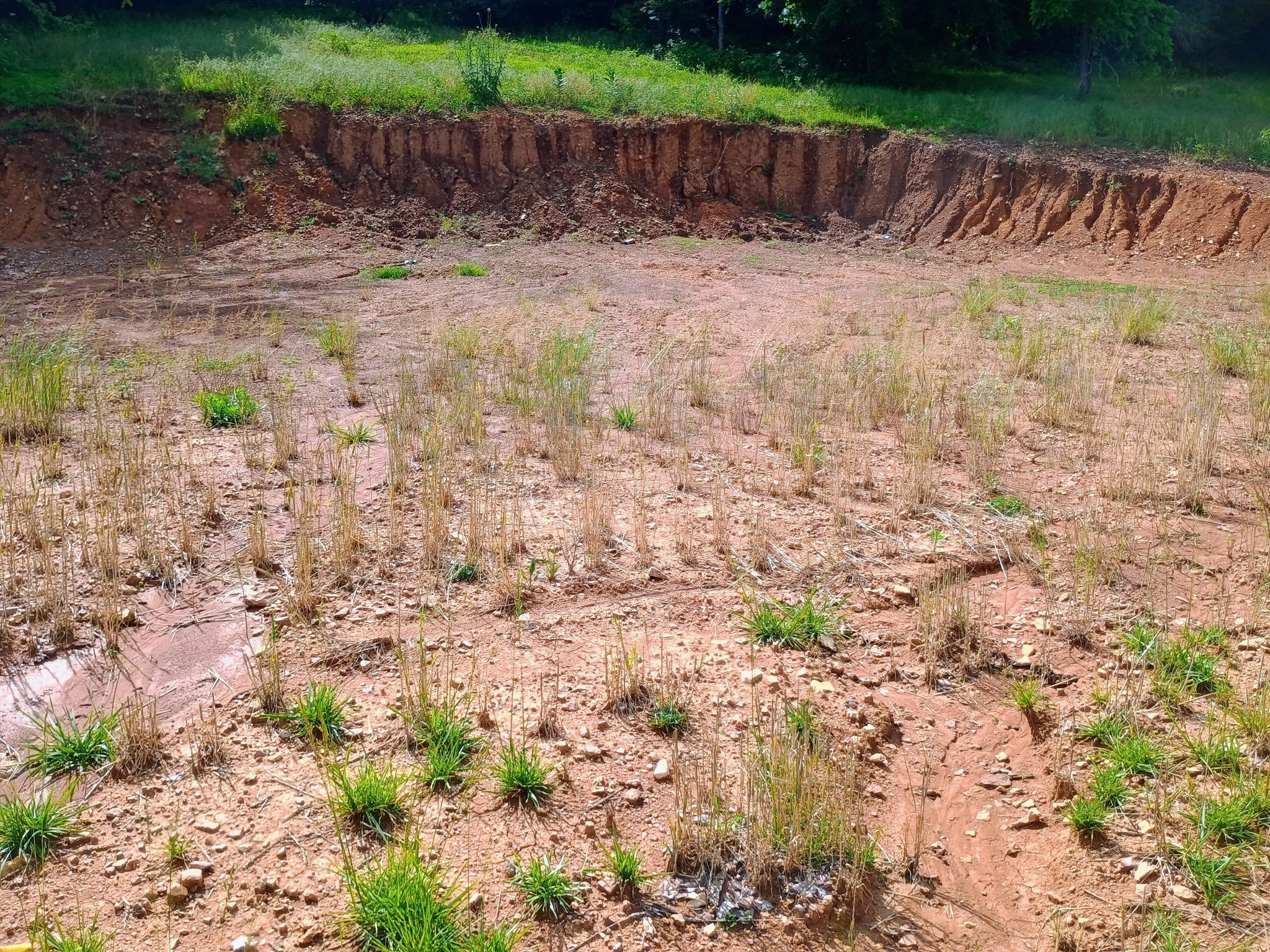 2847 Sorrells Property Photo 13